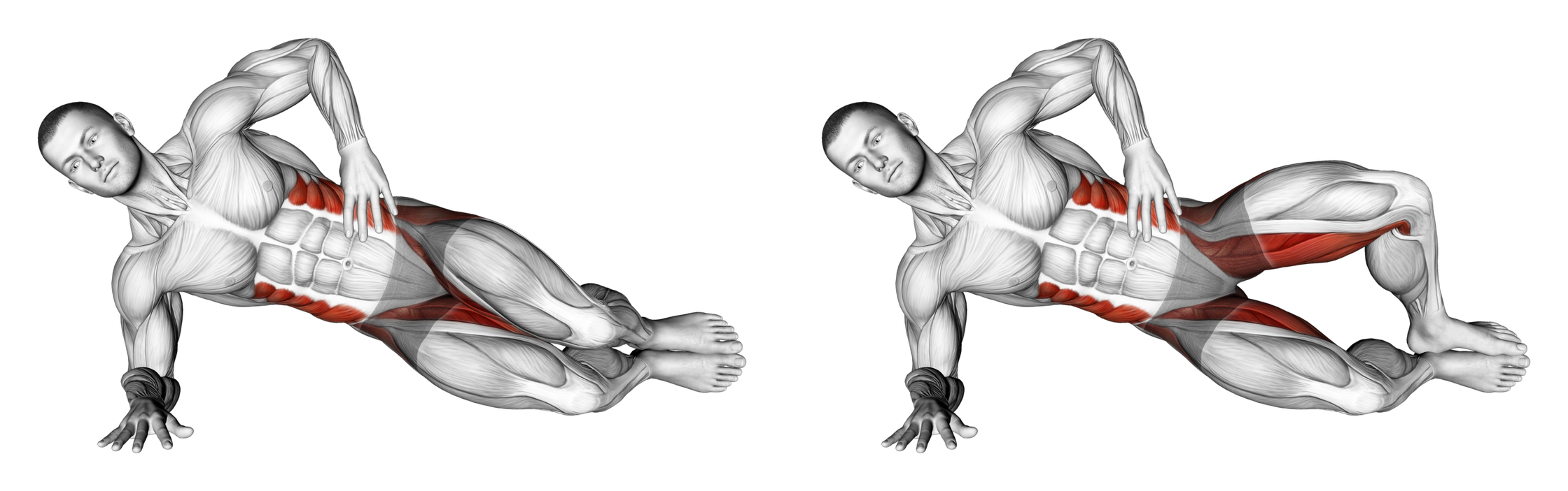 Clamshell: Guide, Muscles Worked, Tips | Athlemove