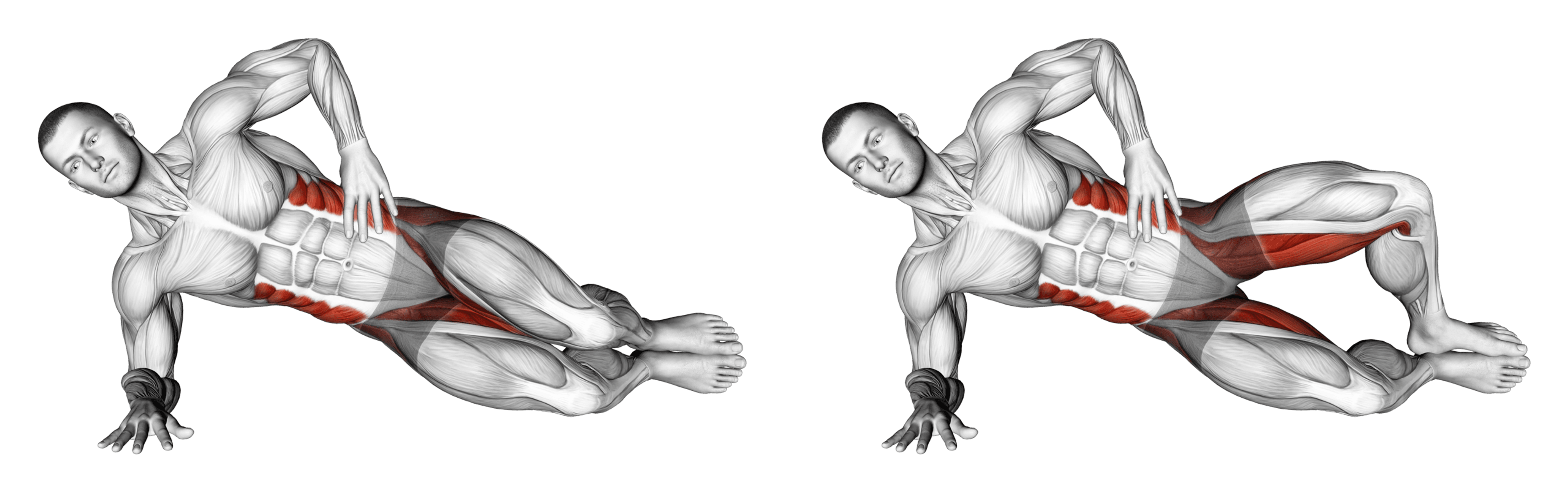 Clamshell Guide Muscles Worked Tips Athlemove Clamshell Guide Muscles Worked Tips Athlemove
