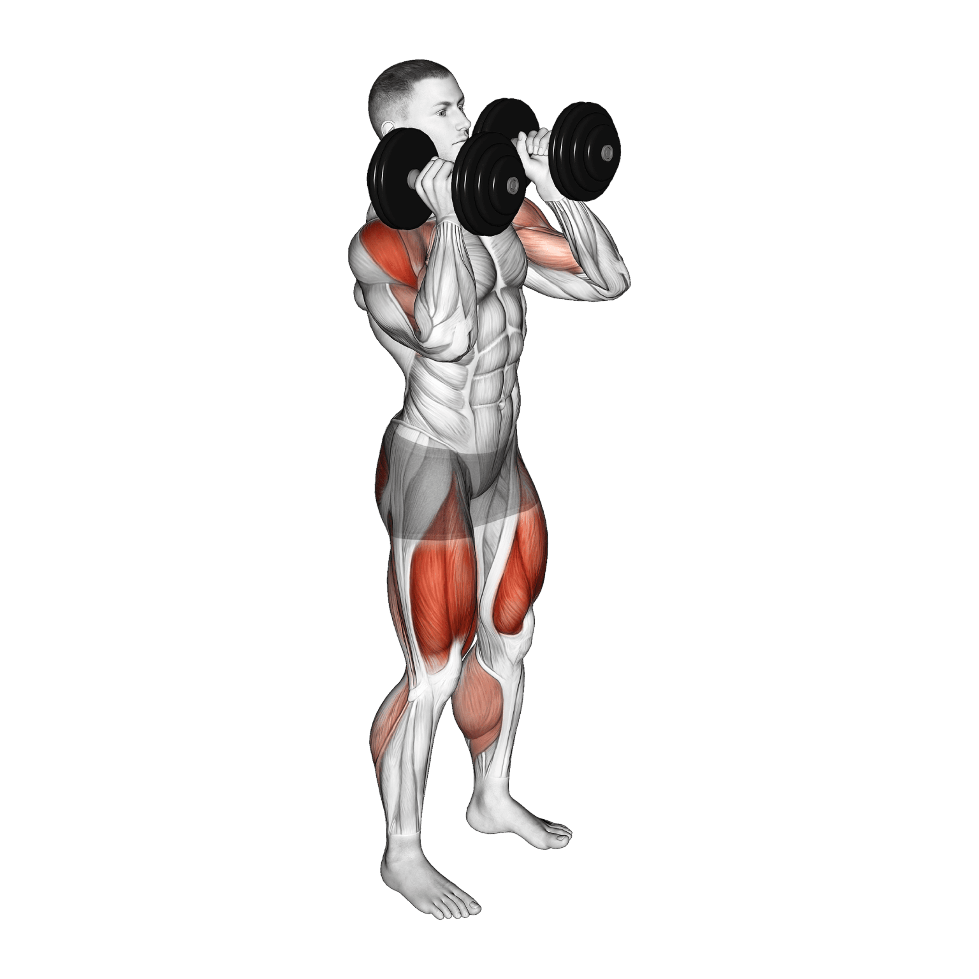 Dumbbell Power Clean