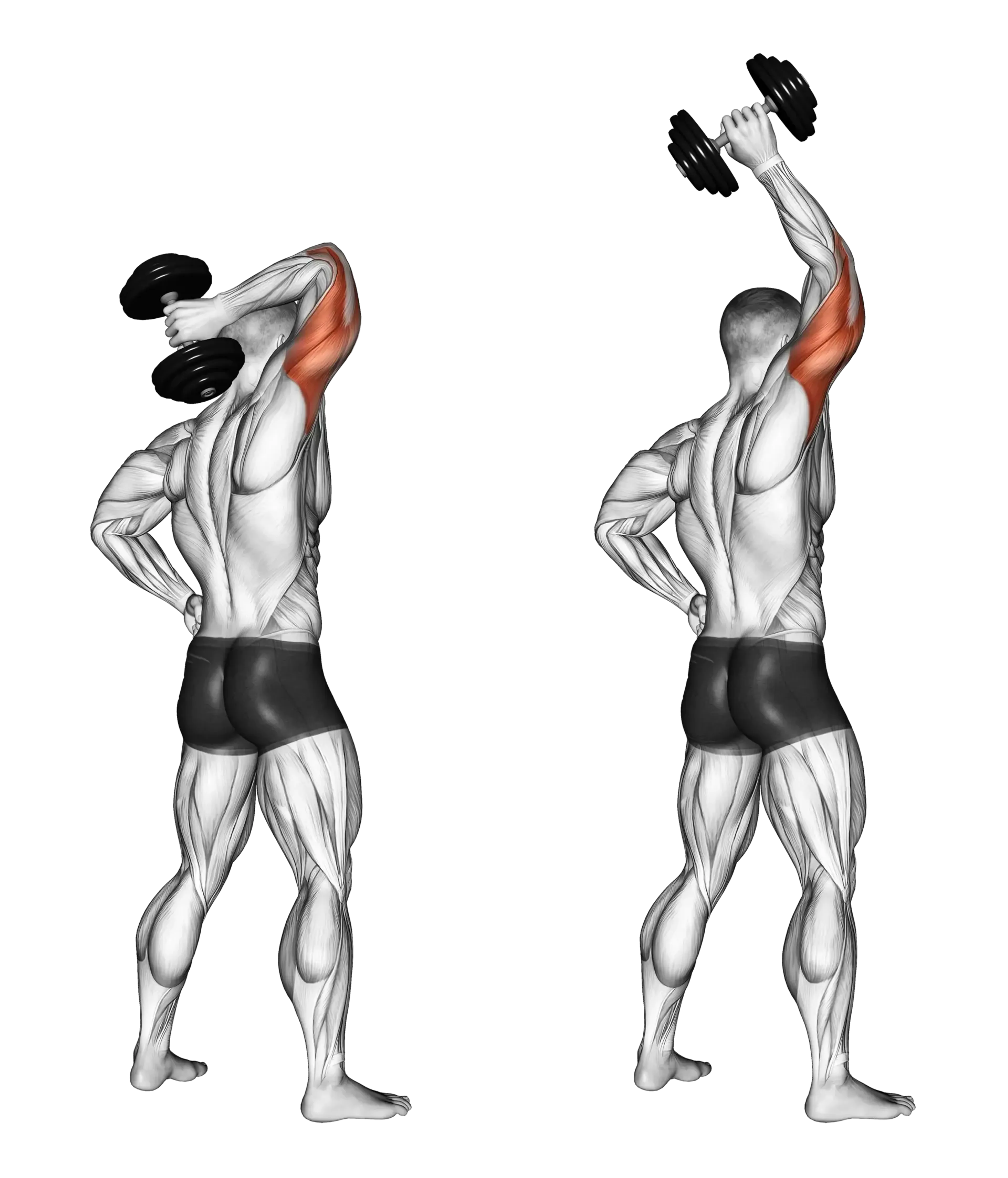 Dumbbell Single-Arm Tricep Extension