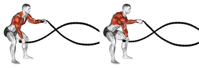 Battling Ropes: Guide, Muscles Worked, Tips | Athlemove