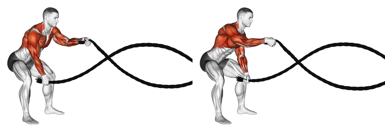 Battling Ropes: Guide, Muscles Worked, Tips | Athlemove