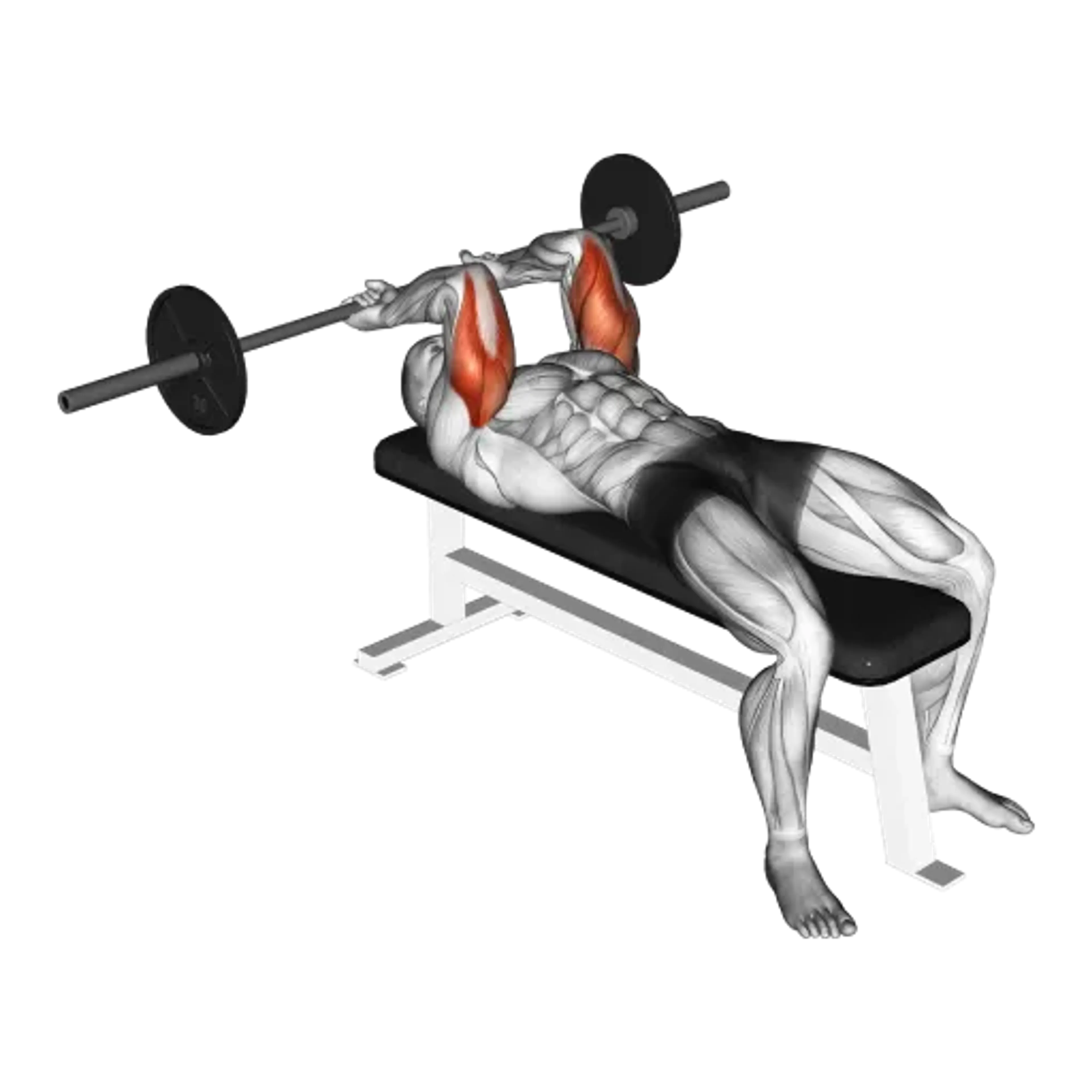 Barbell Lying Triceps Extension