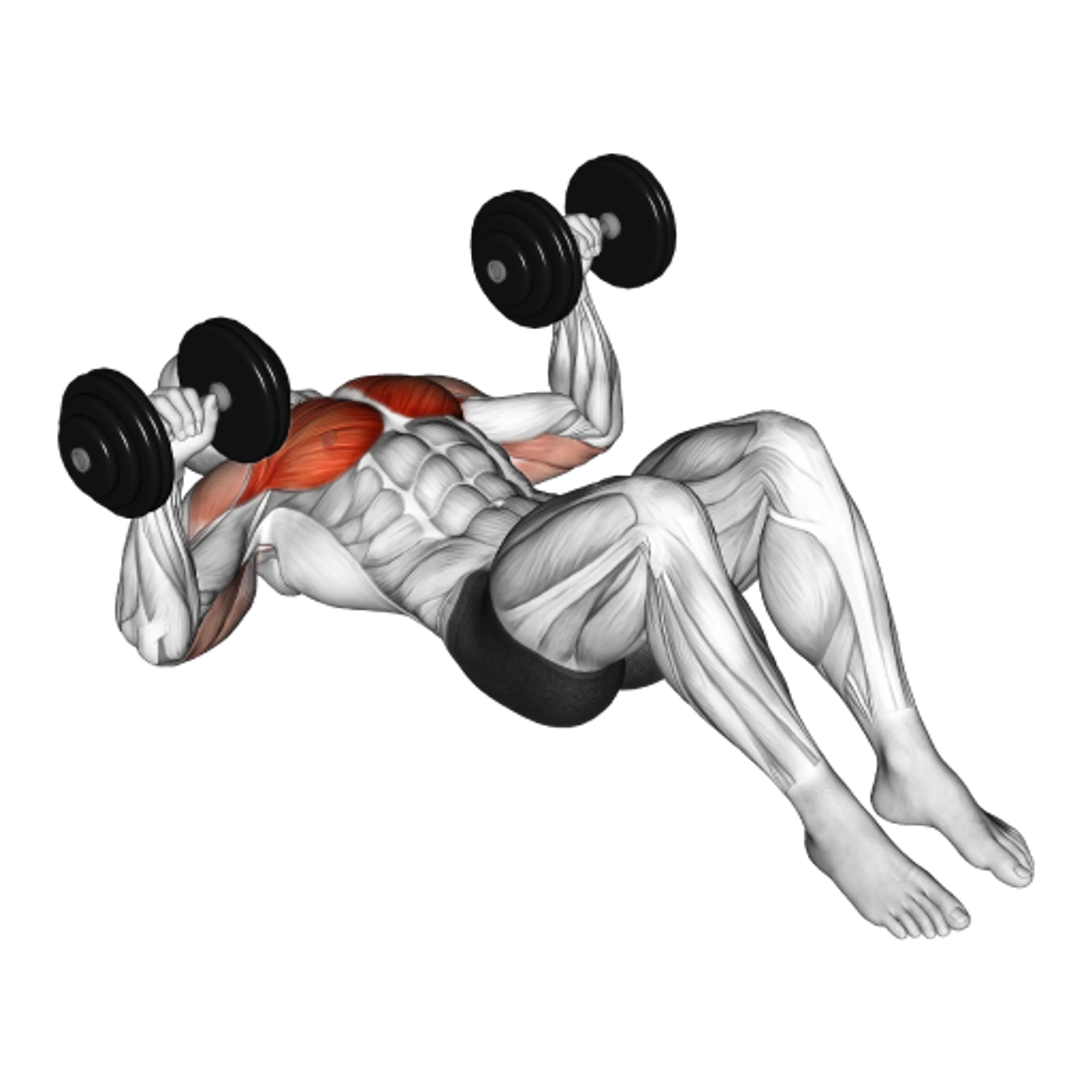 Dumbbell Floor Press