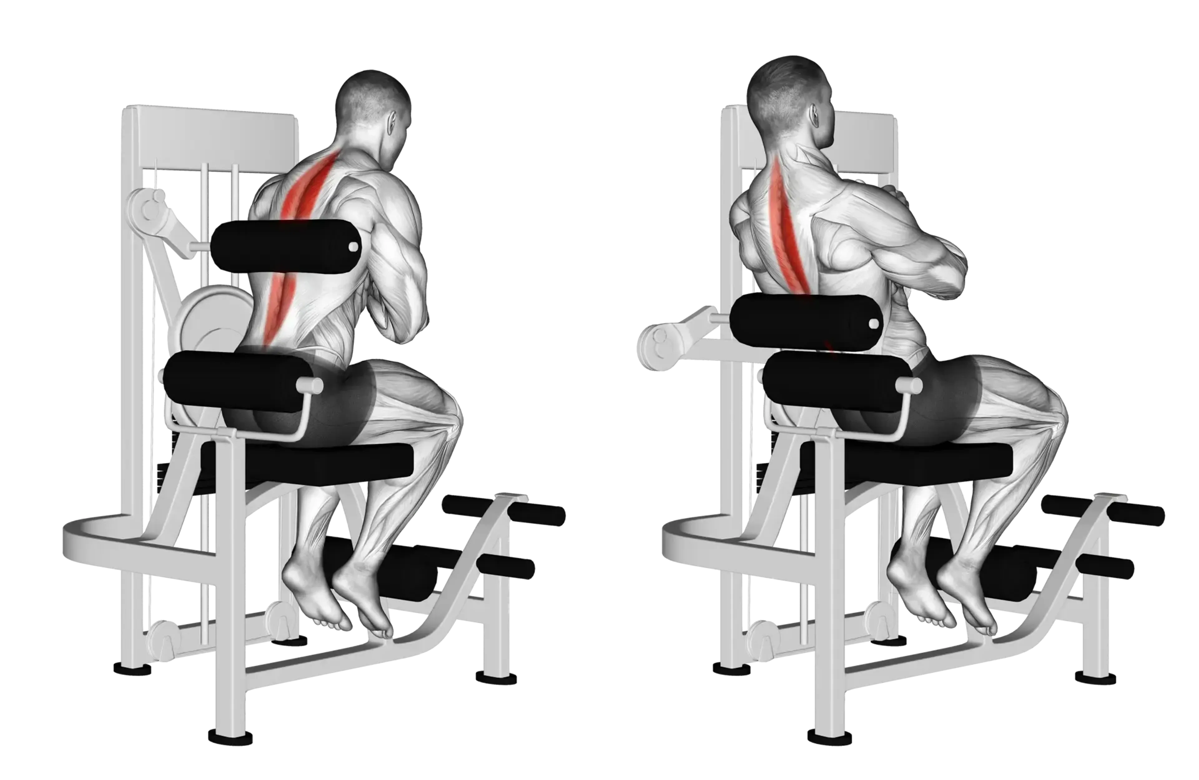 Machine Back Extension