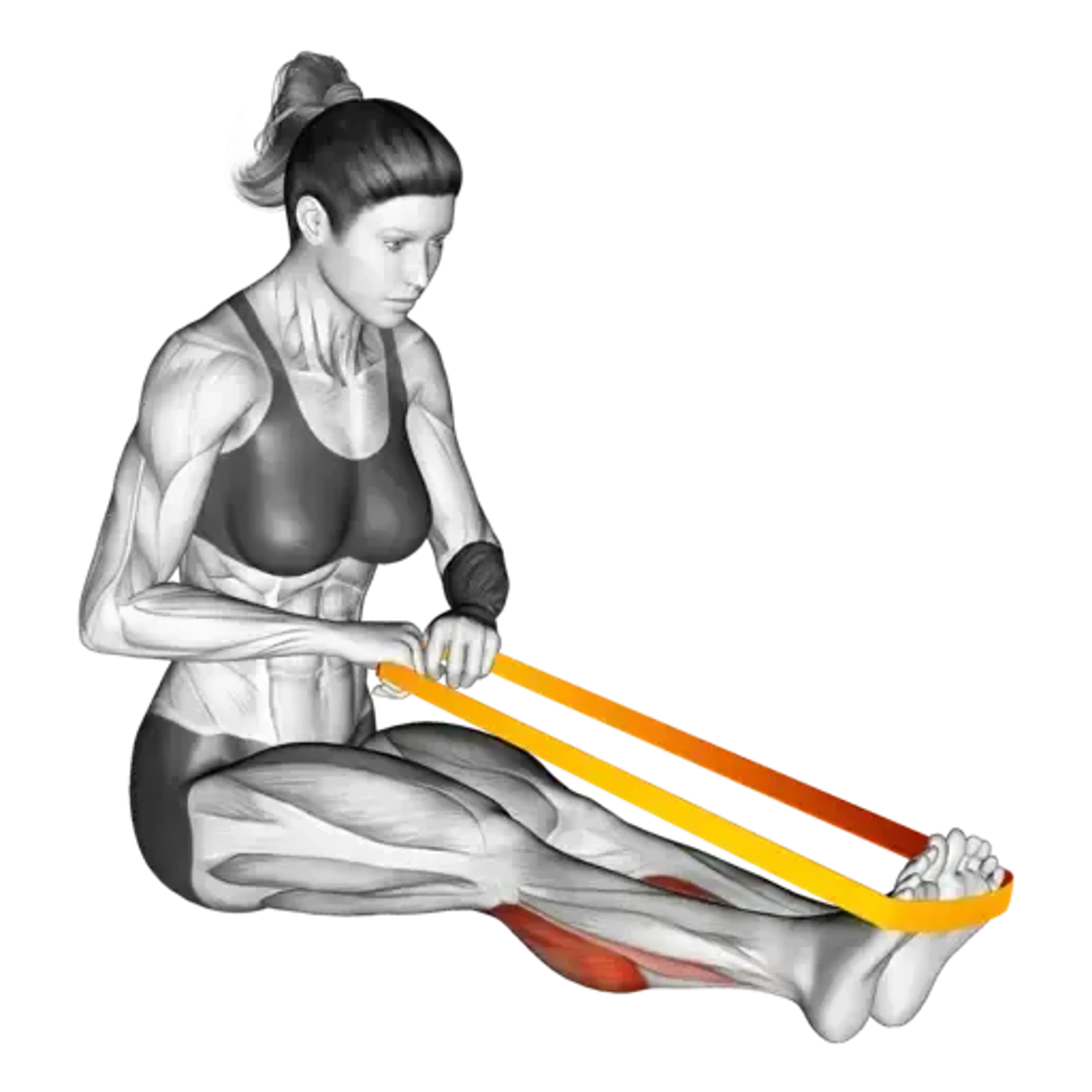 Band Seated Calf Raise