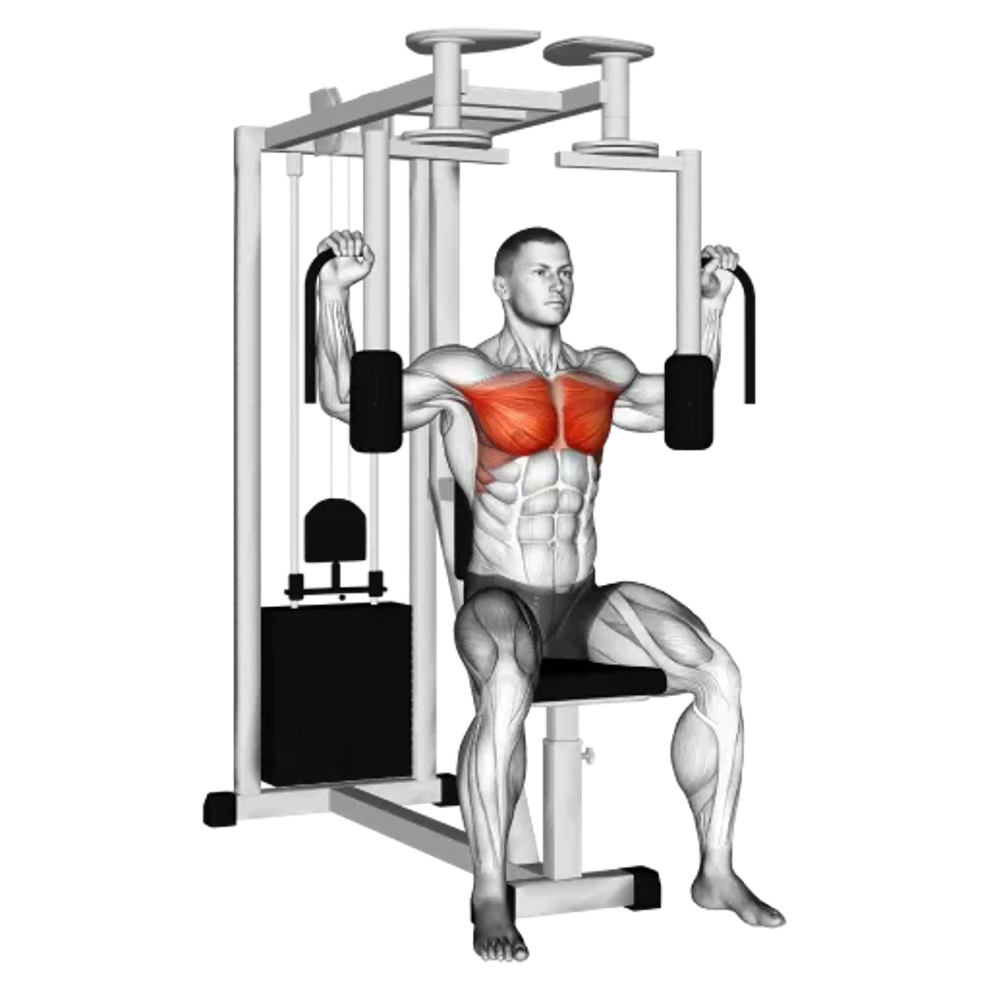 Machine Pec Deck Fly