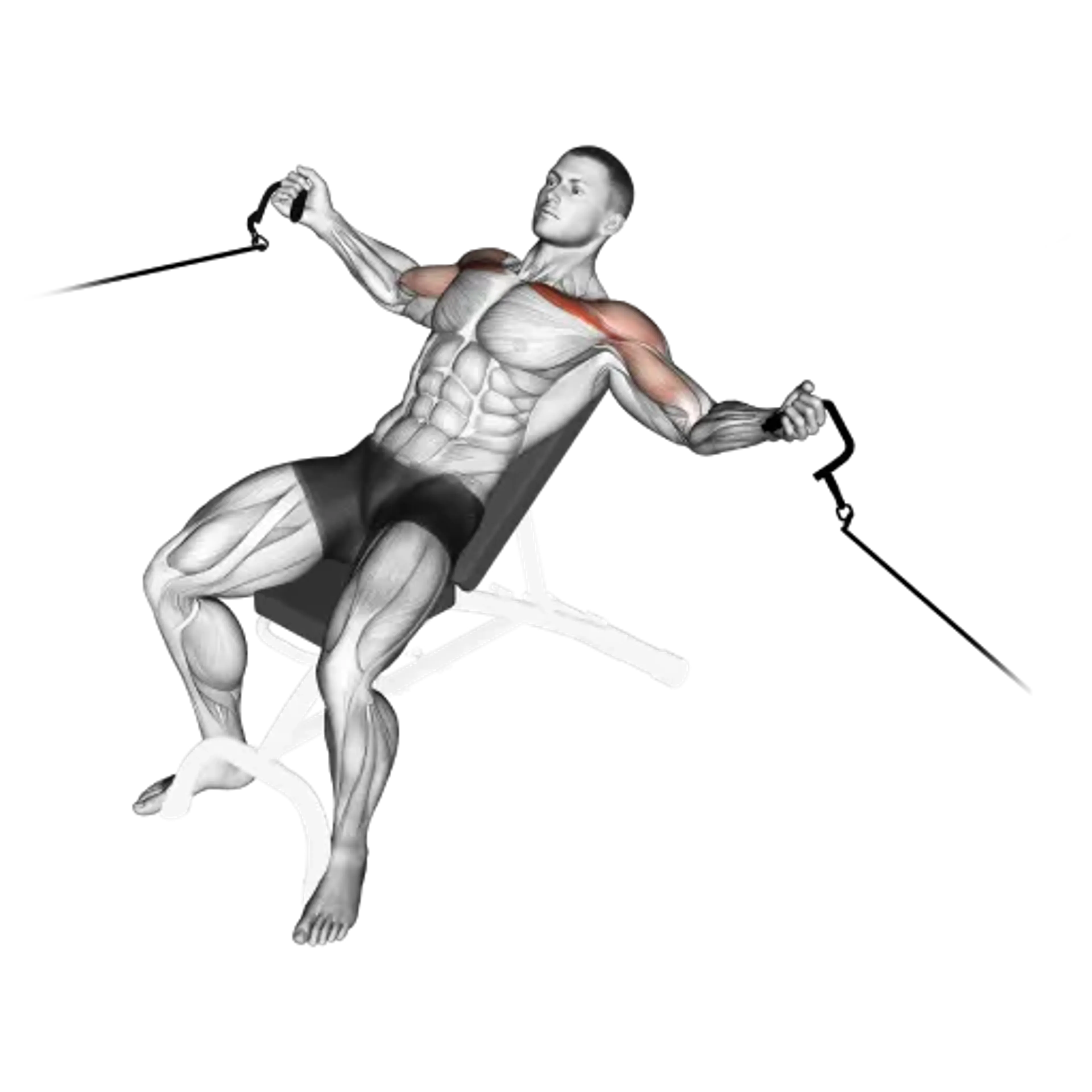 Cable Incline Fly