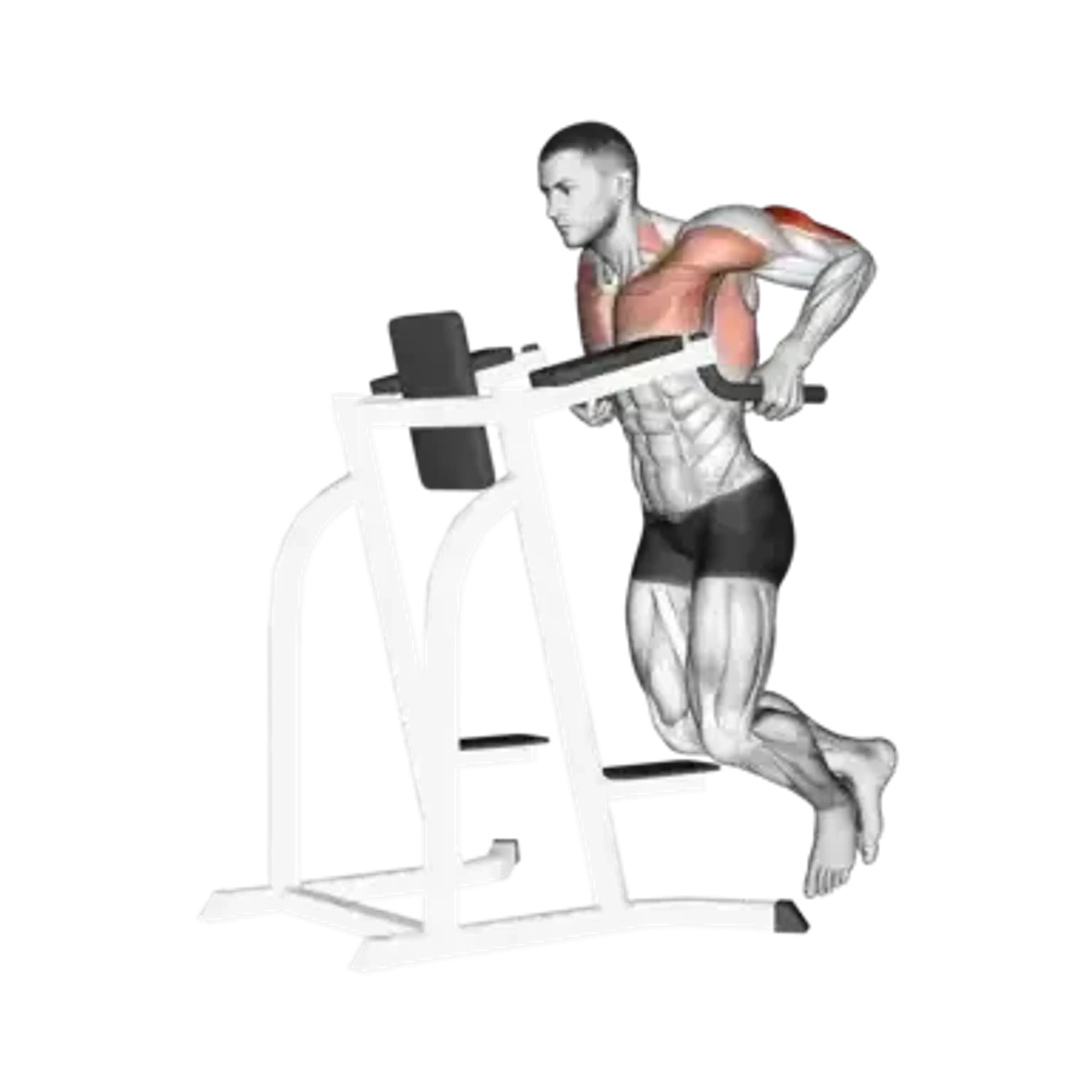 Triceps Dip