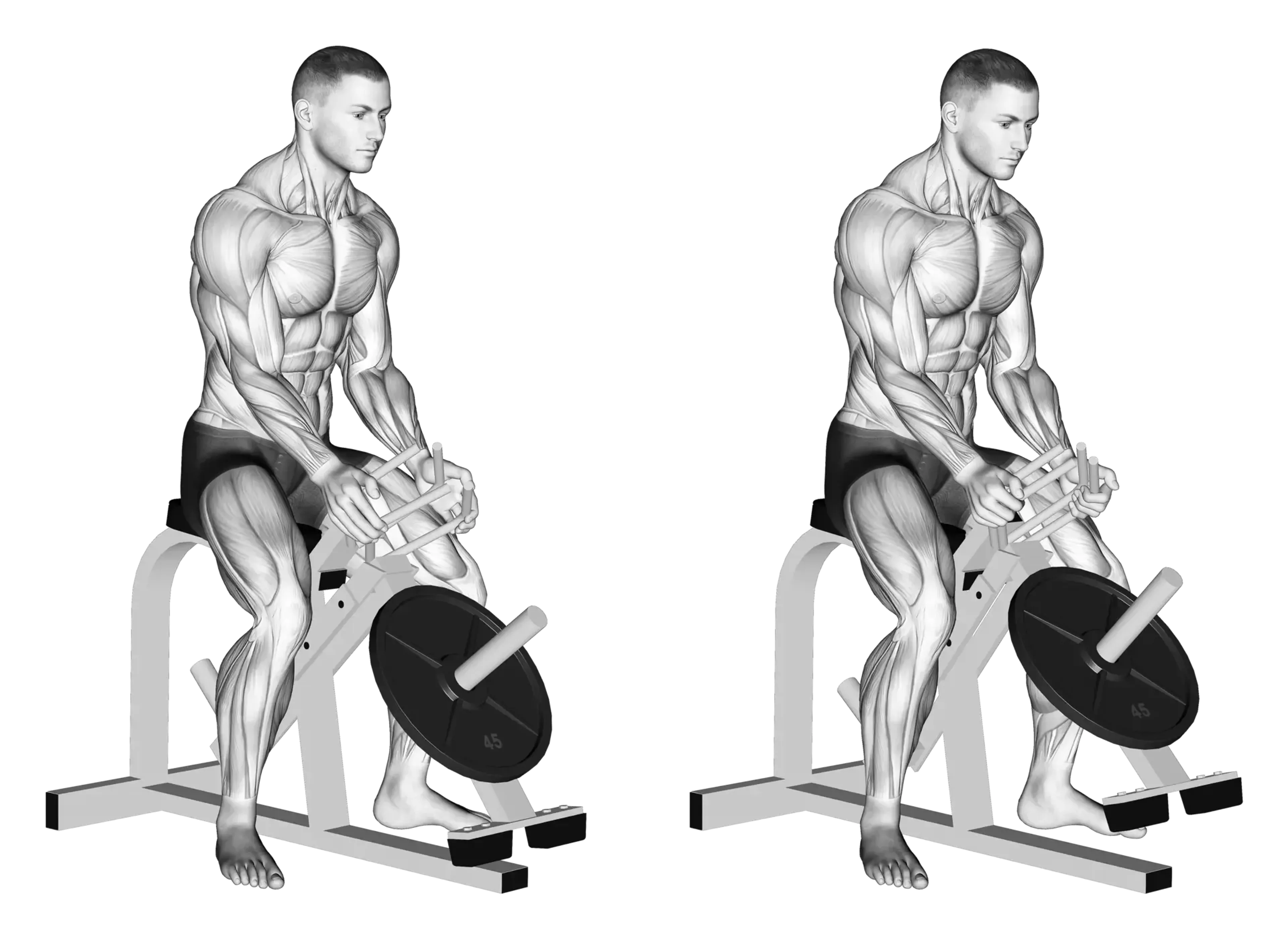 Machine Hand Gripper Squeeze