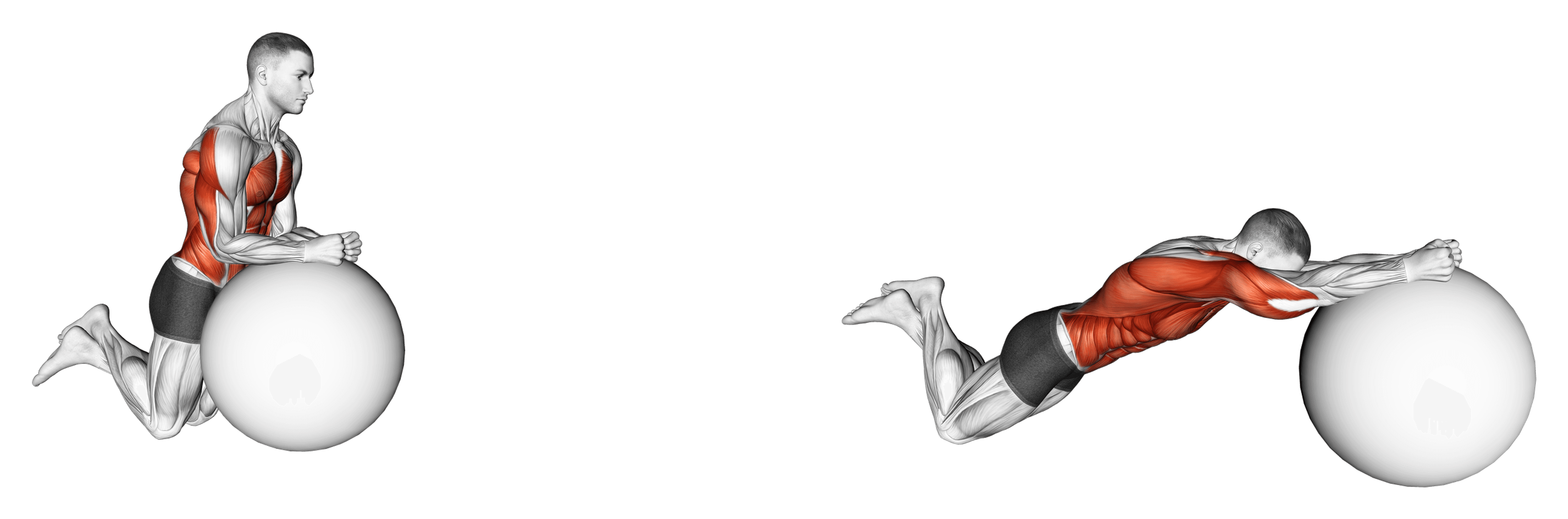 Exercise Ball Rollout