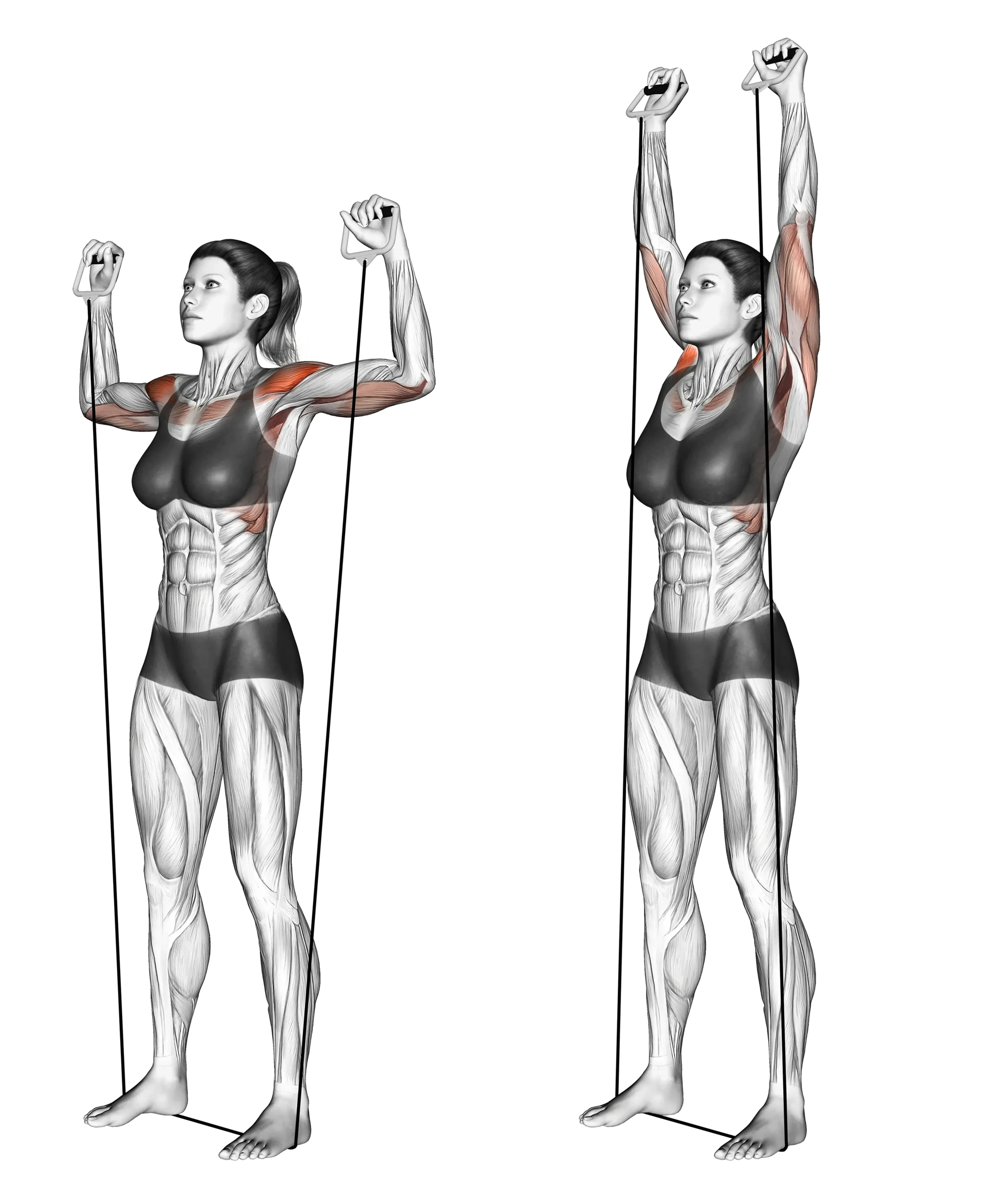 Band Standing Shoulder Press