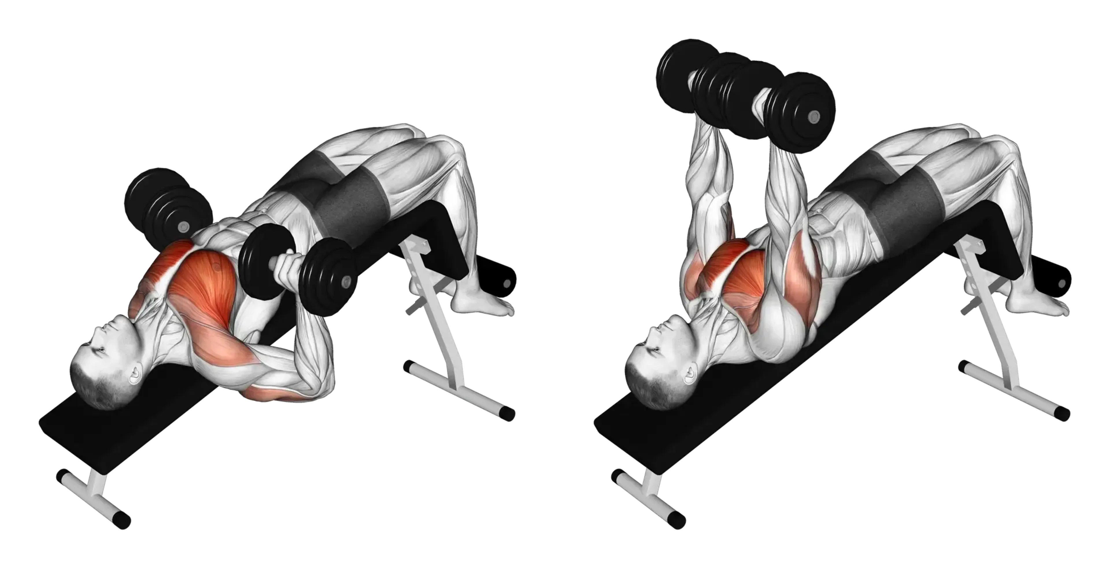 Dumbbell Decline Bench Press