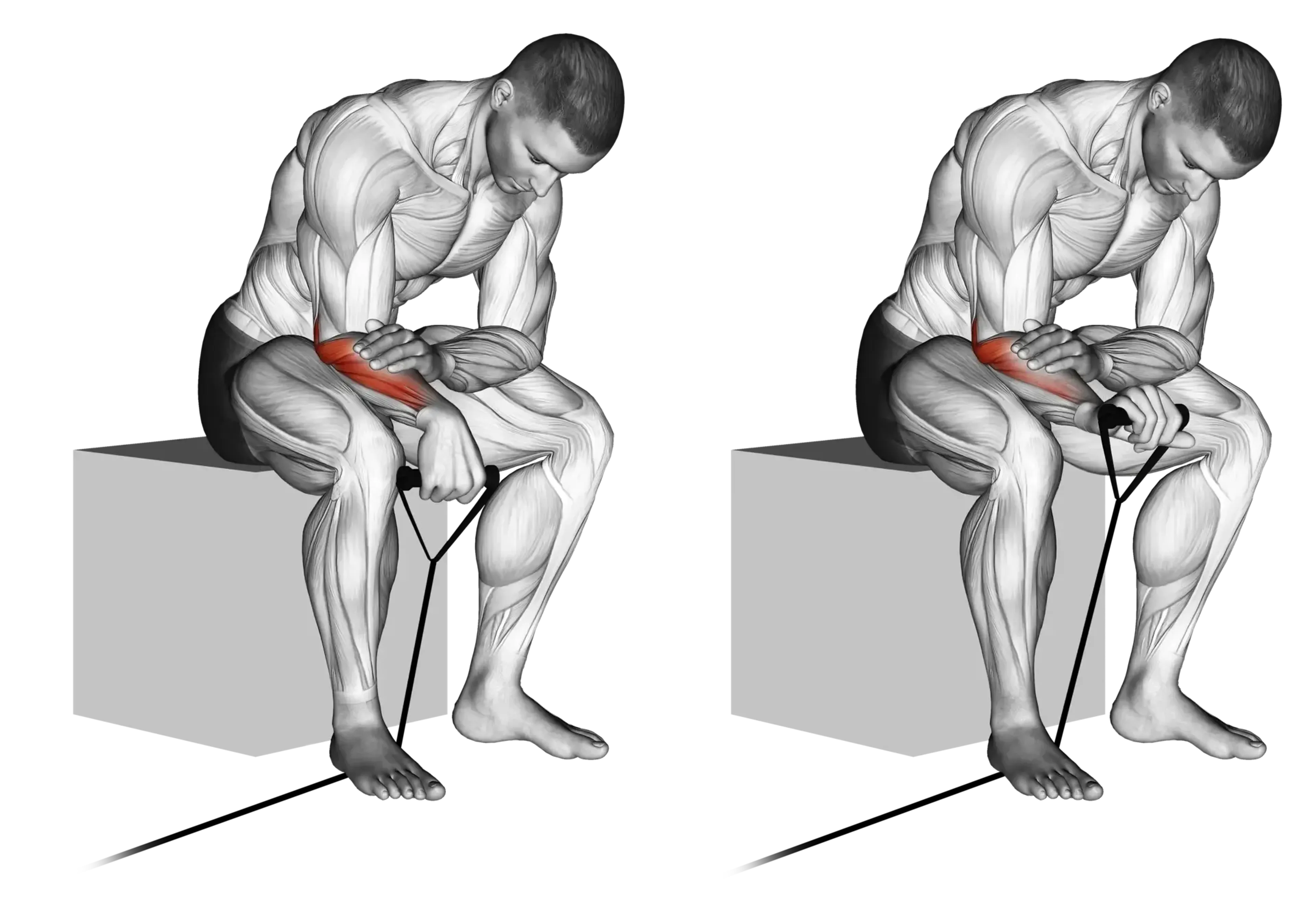 Band Palms-Down Wrist Curl