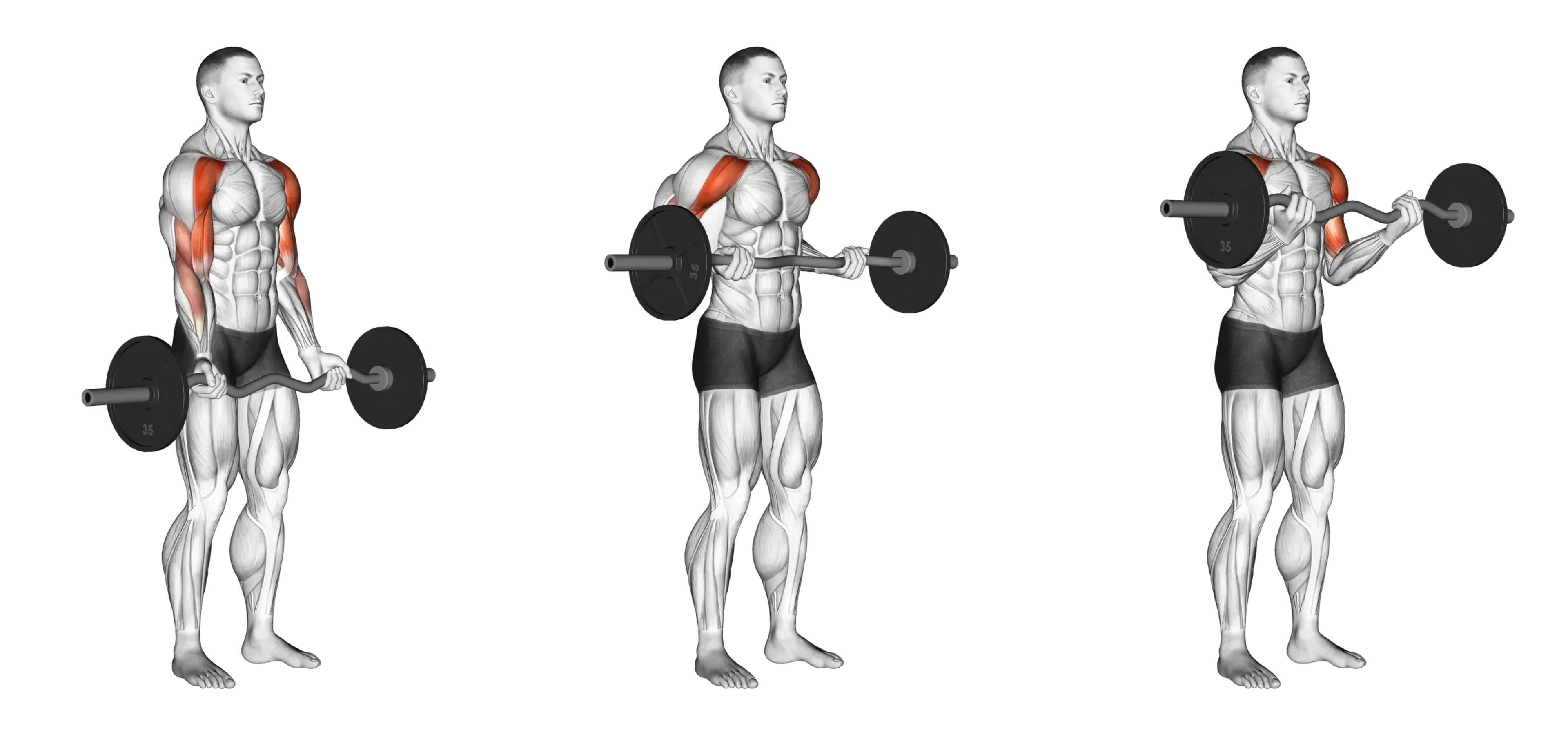 EZ Bar Drag Curl