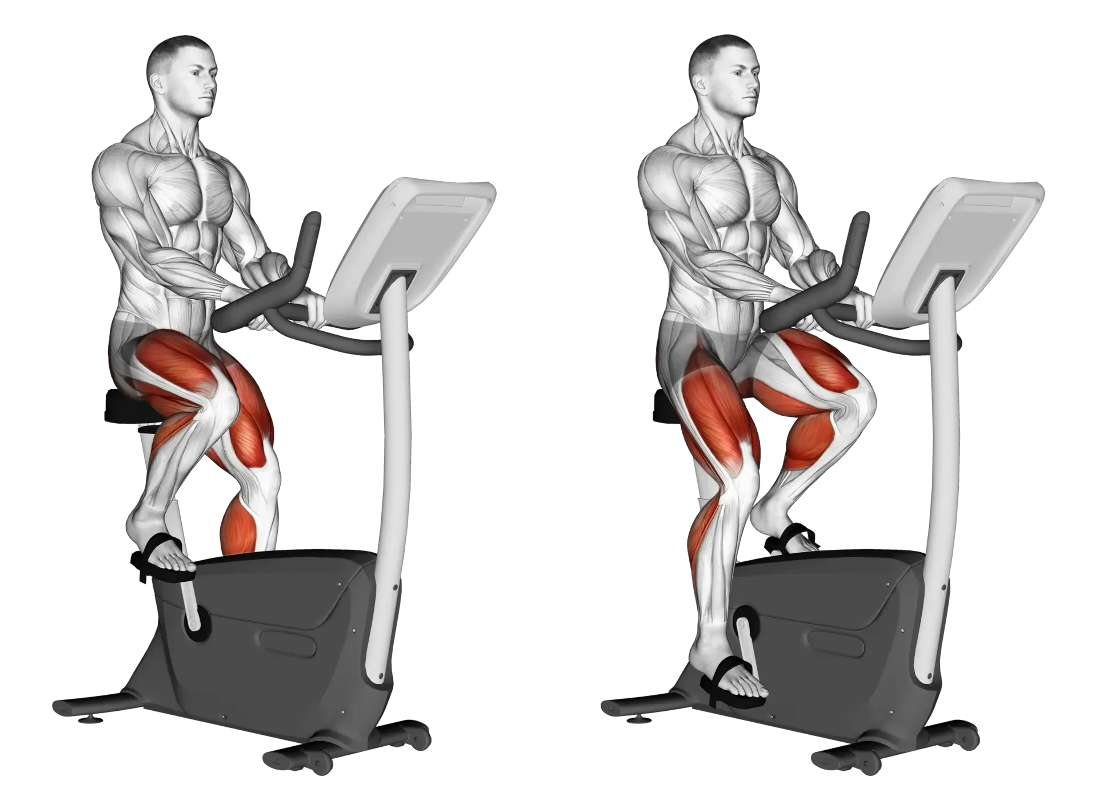 Upright Bike