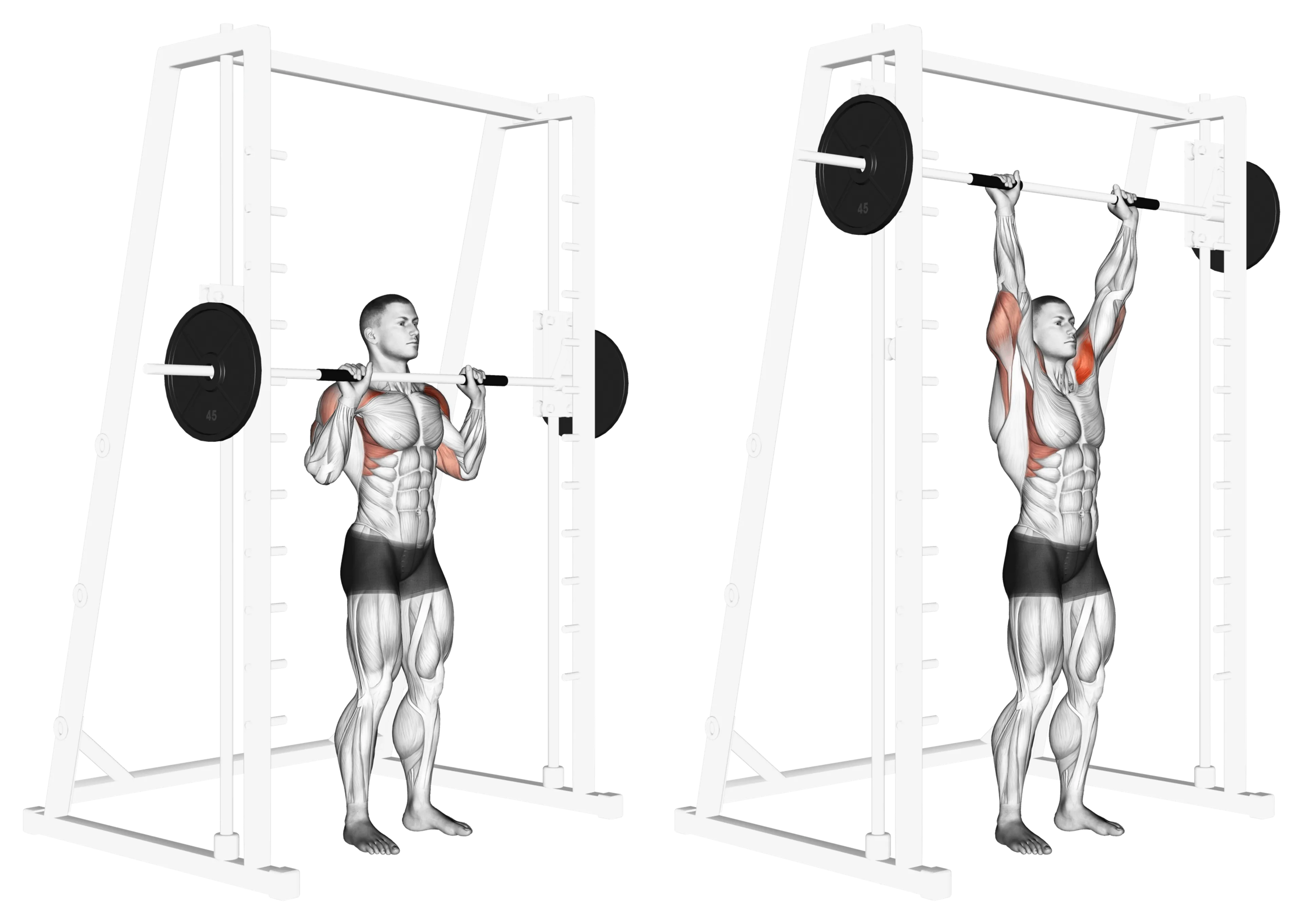 Smith Machine Standing Shoulder Press