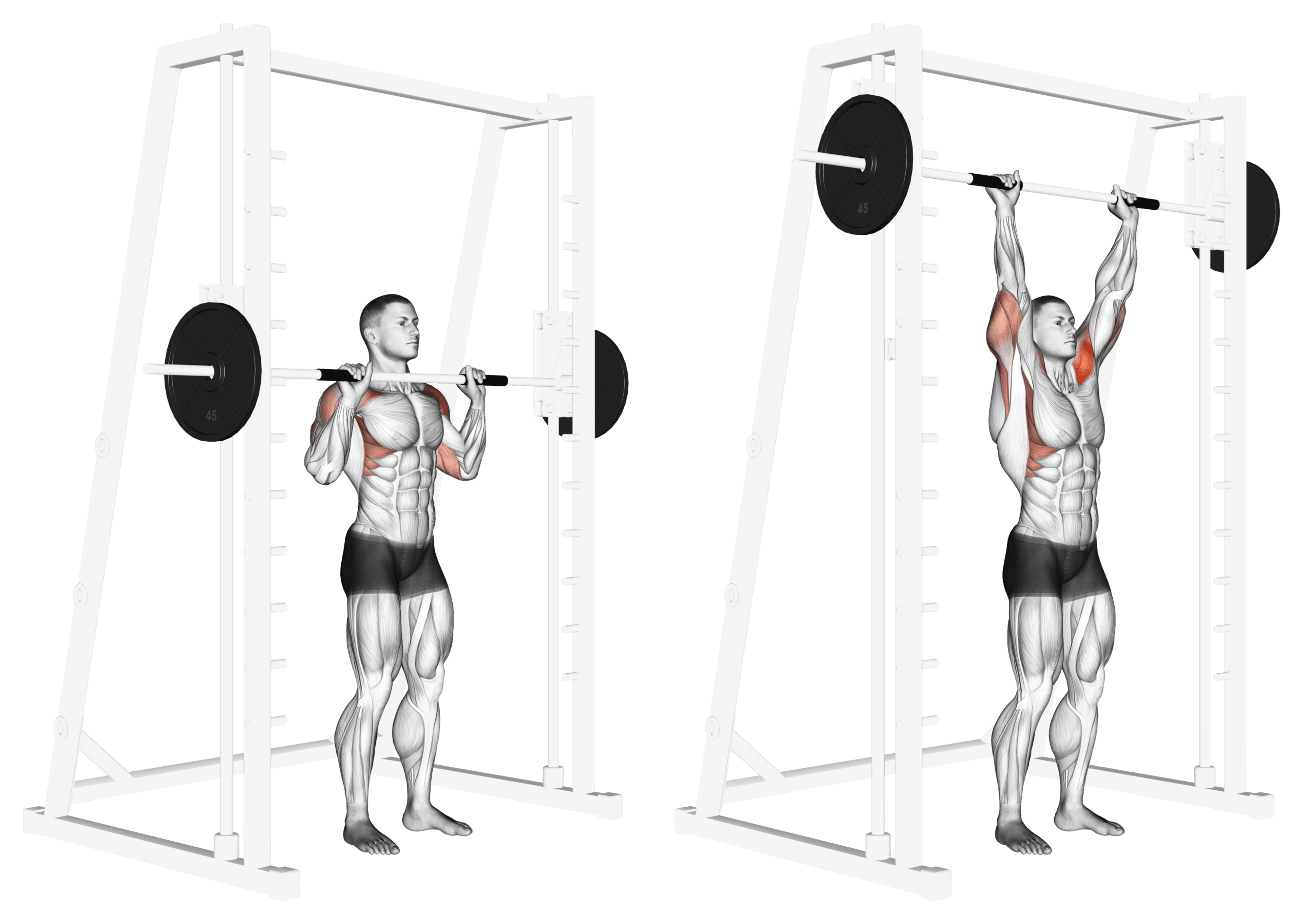 Smith Machine Standing Shoulder Press
