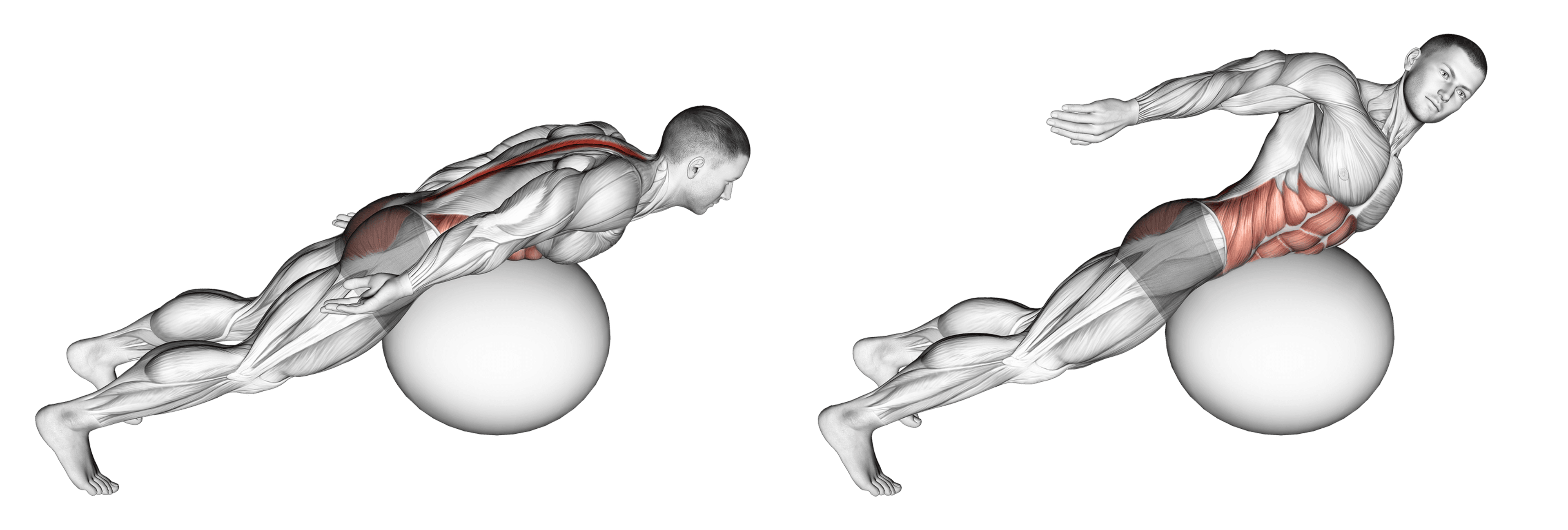 Exercise Ball Back Extension (With Rotation)