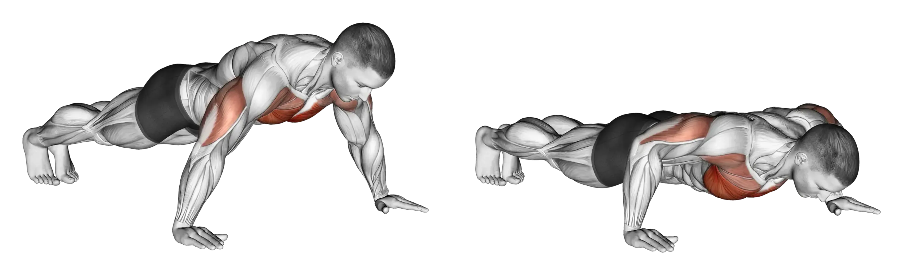 Wide Hand Push-Up