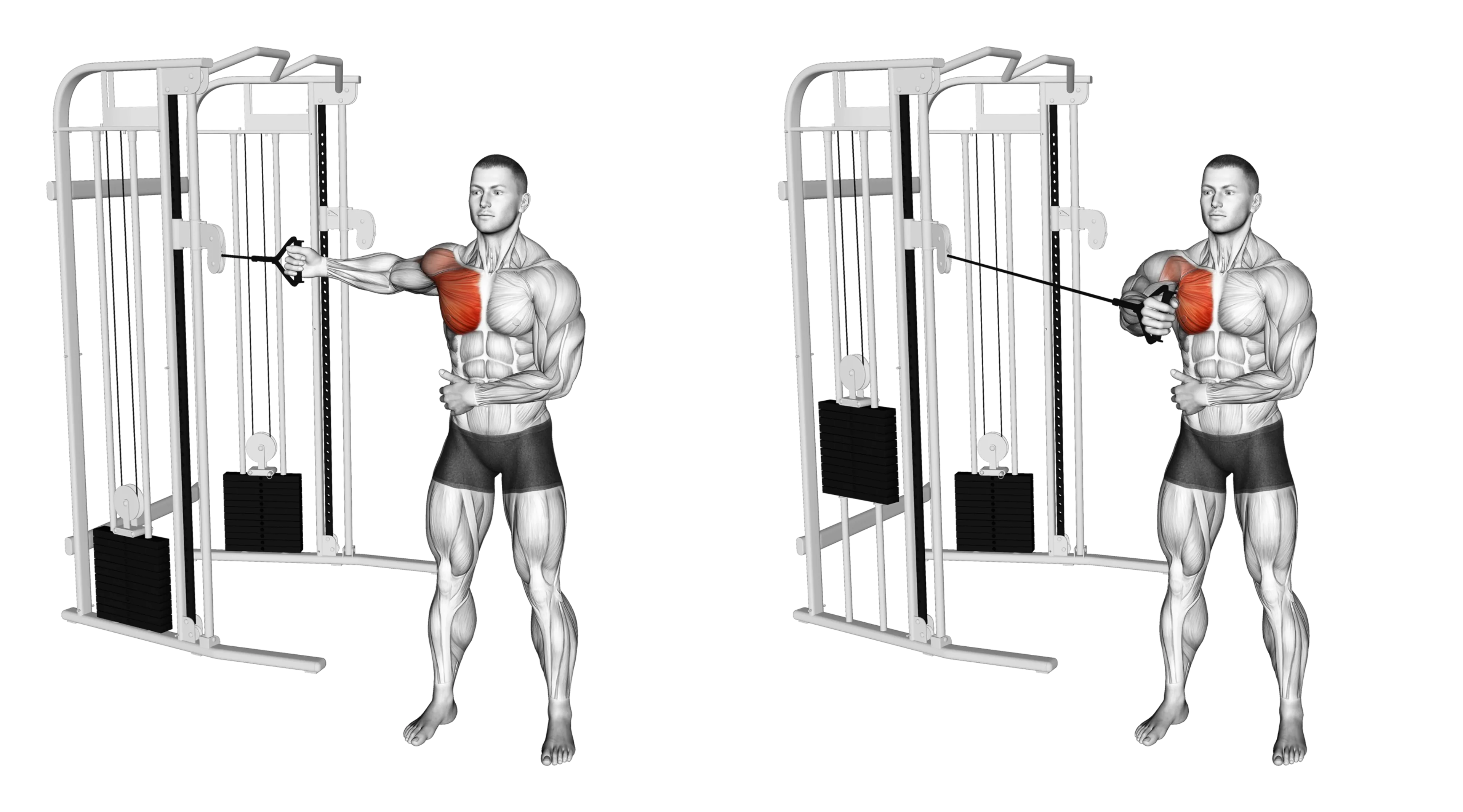 Cable Single-Arm Fly