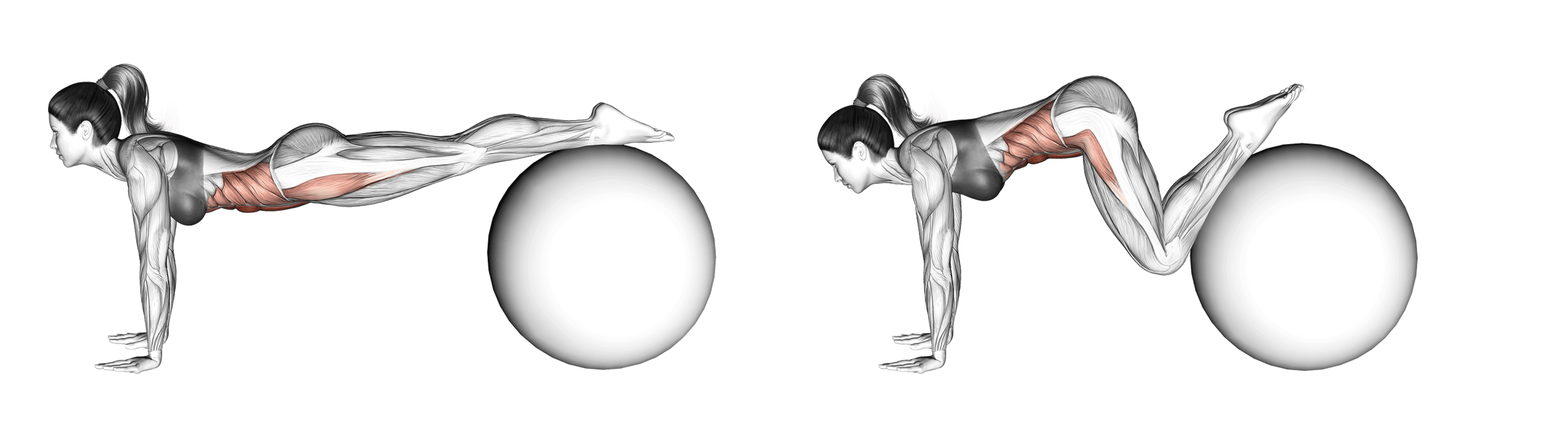 Exercise Ball Jack Knife