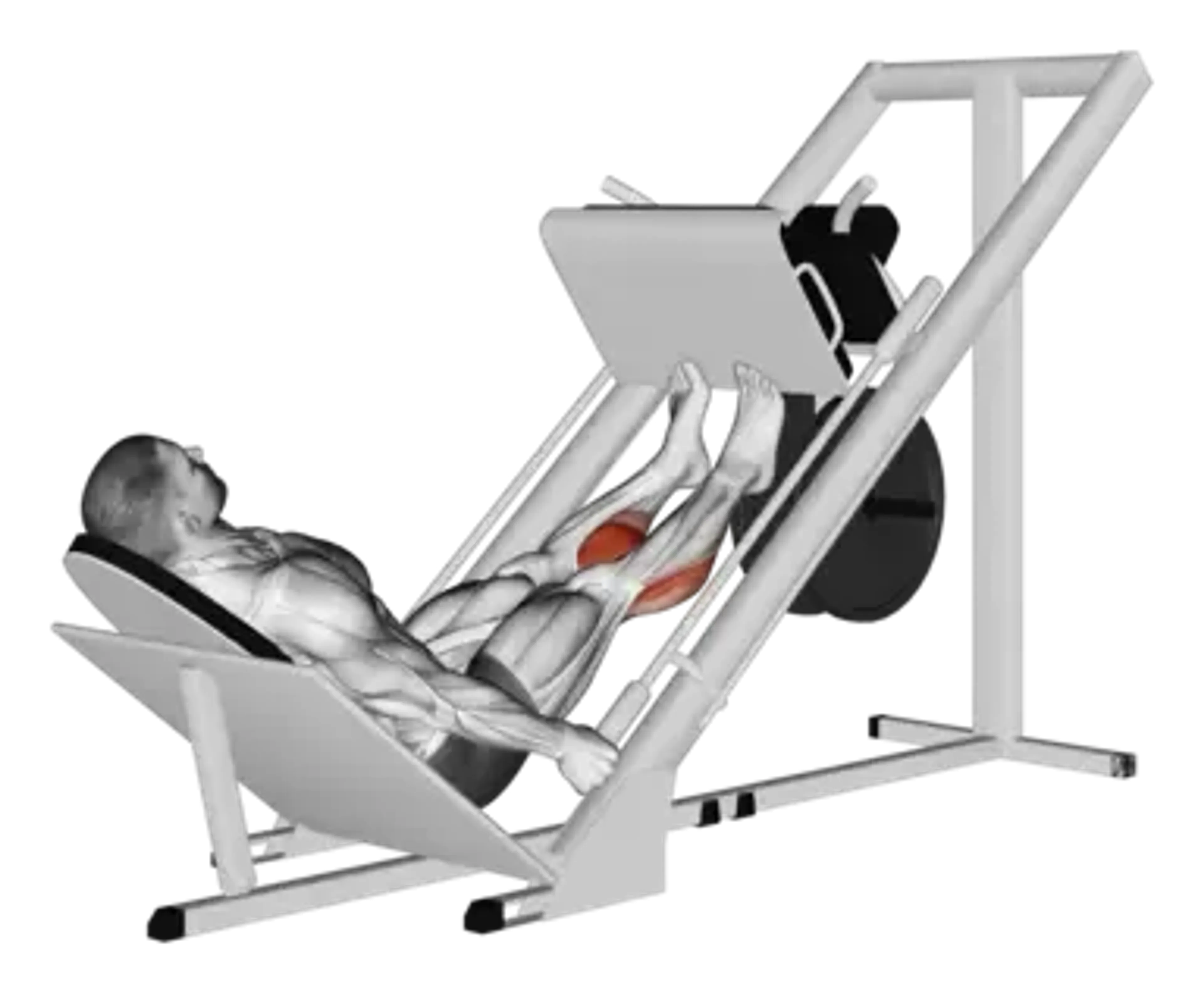 Leg Press Calf Raise