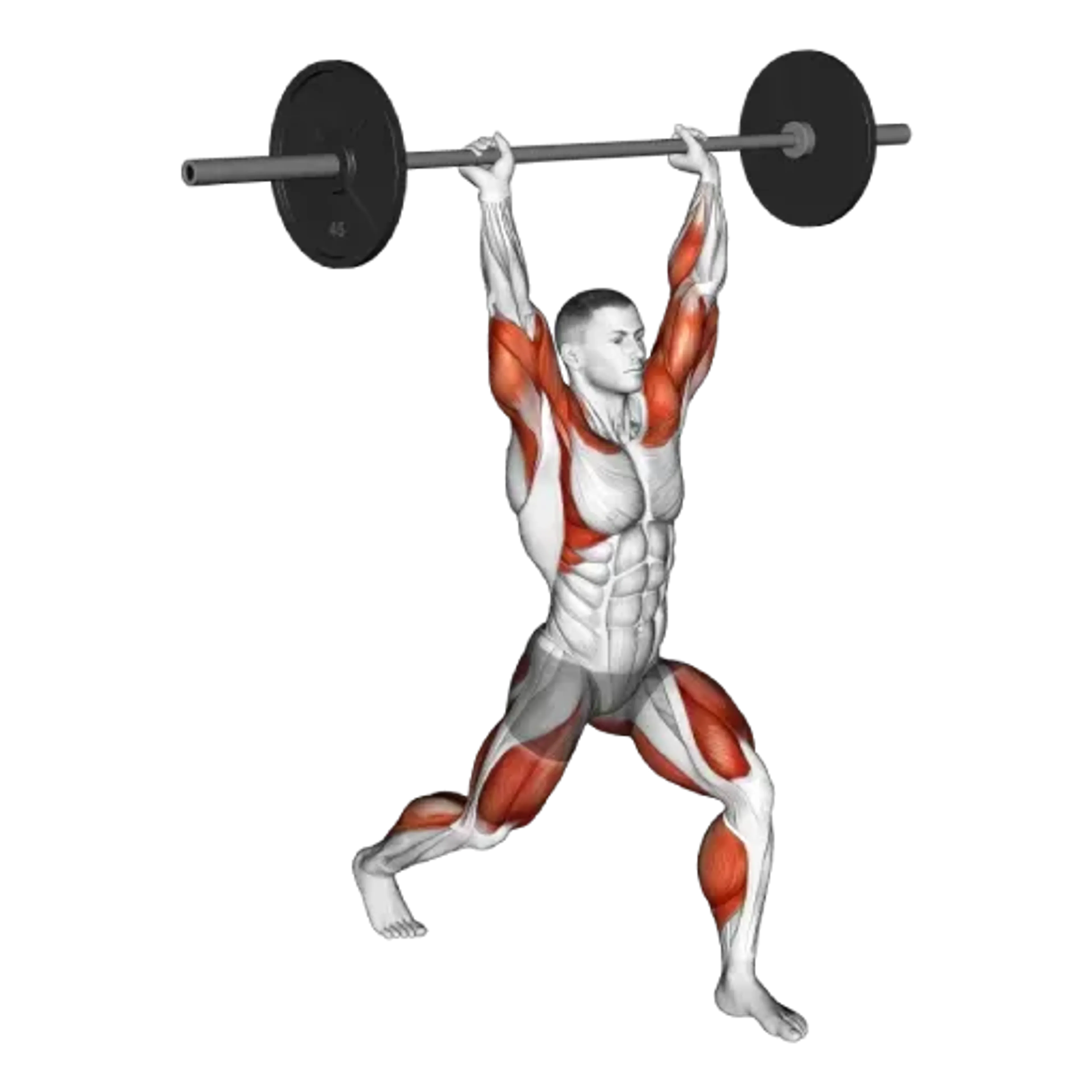 Barbell Clean and Jerk