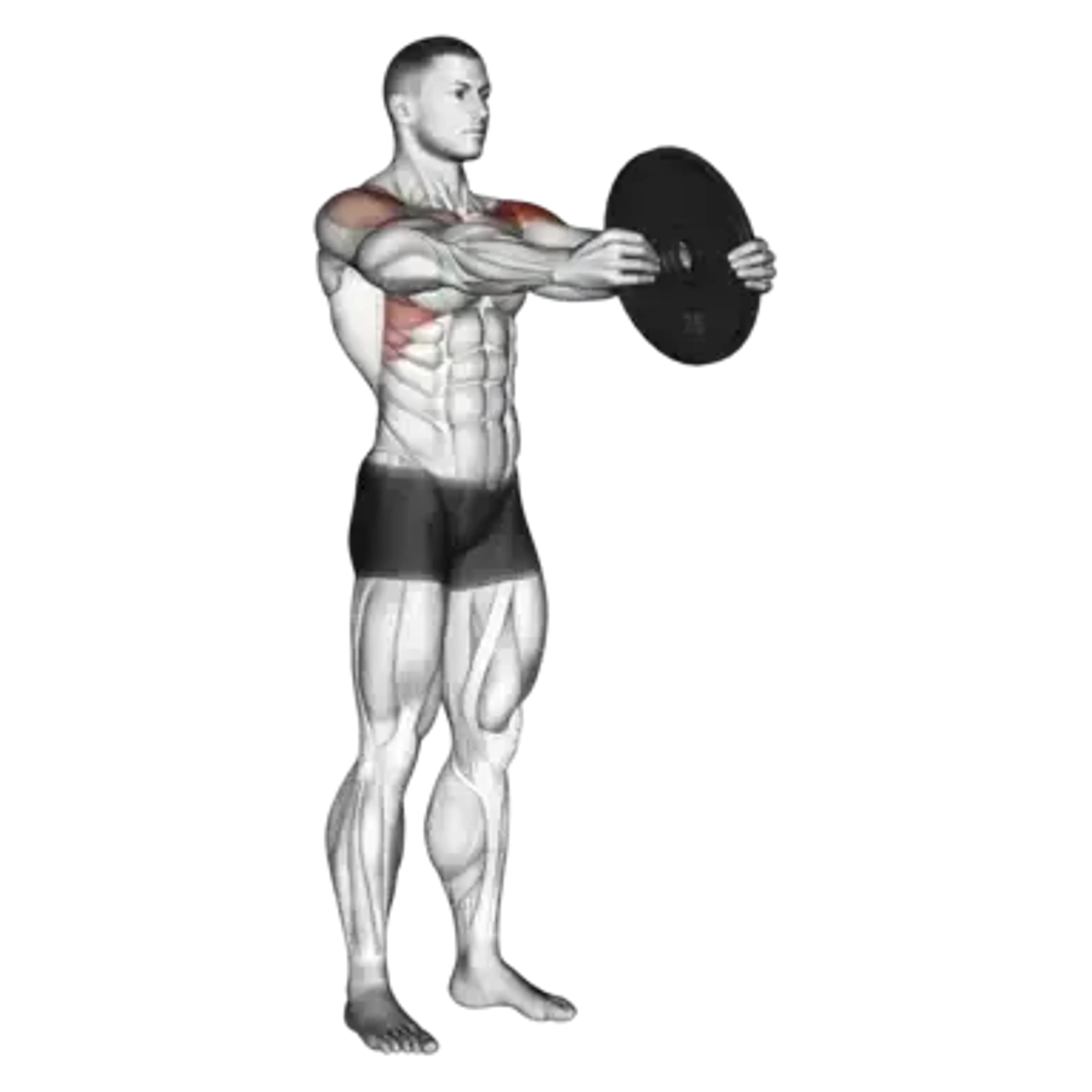 Weight Plate Front Raise