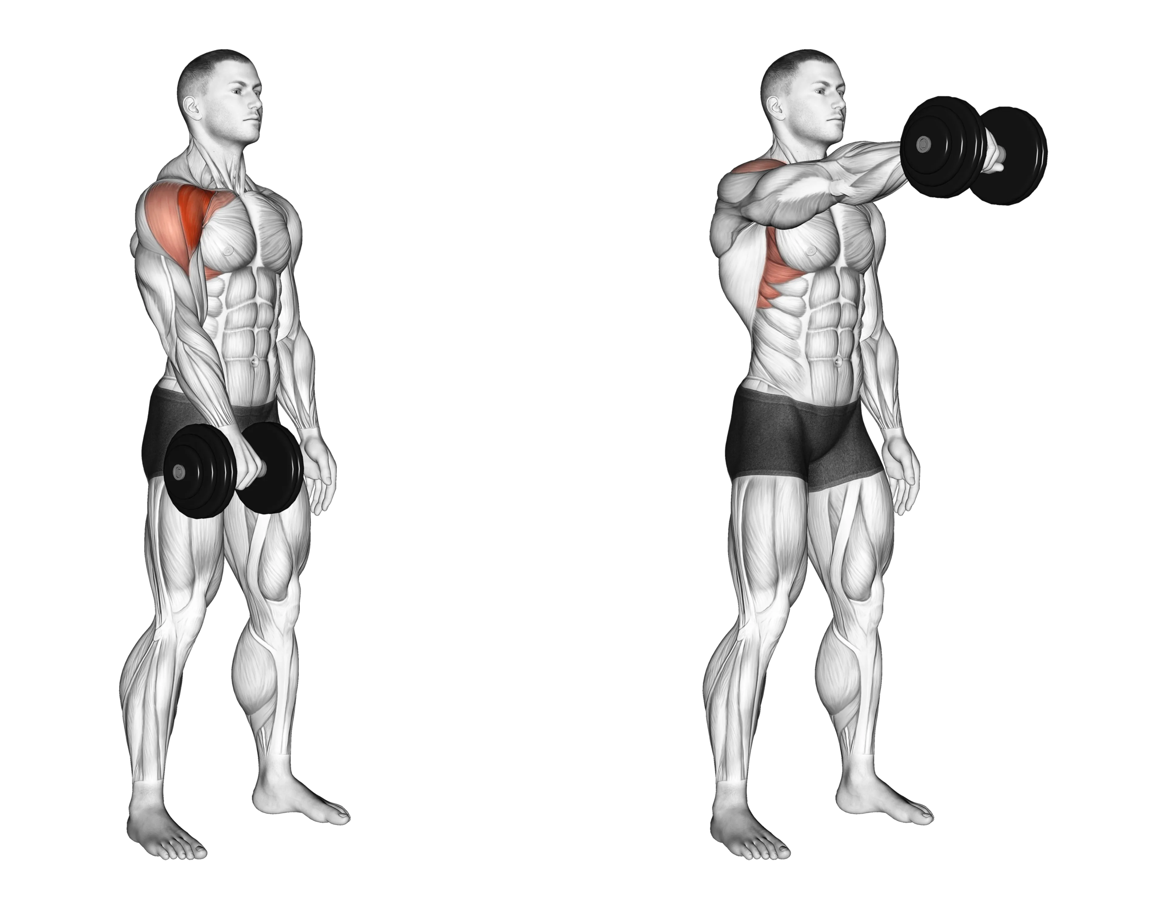 Dumbbell Single-Arm Front Raise