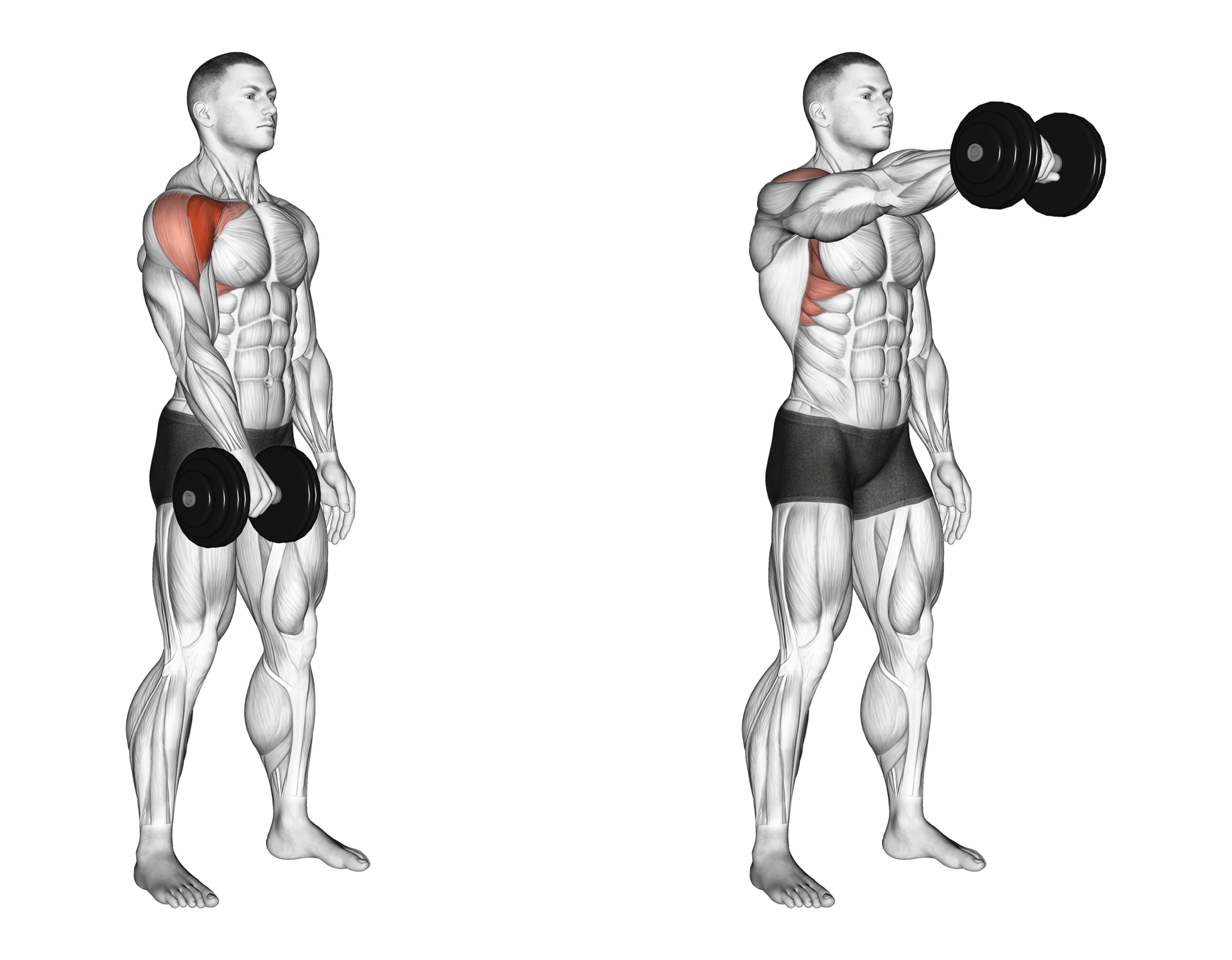 Dumbbell Single-Arm Front Raise
