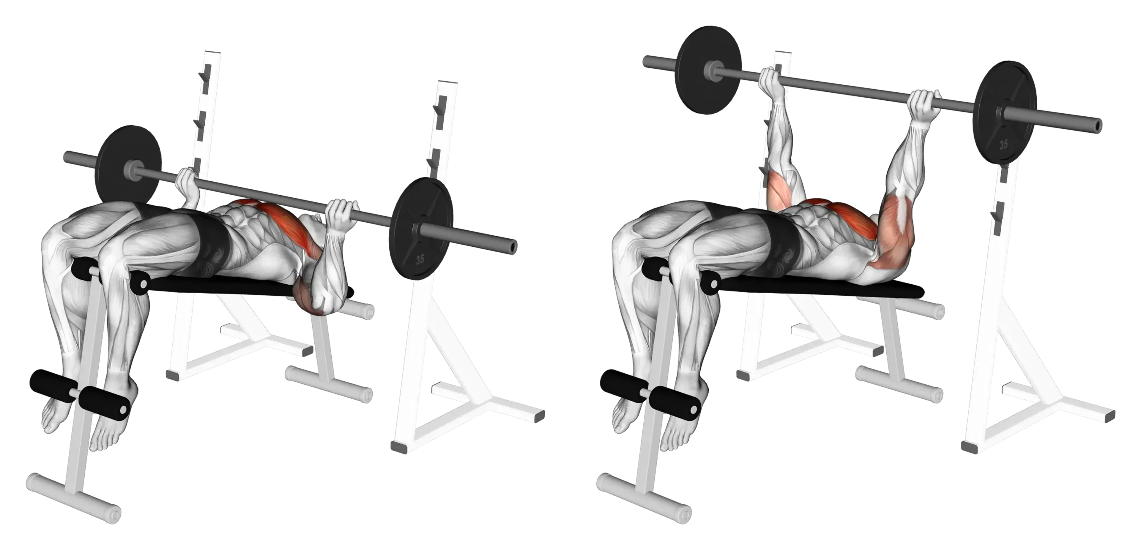 Barbell Decline Bench Press (Reverse Grip)