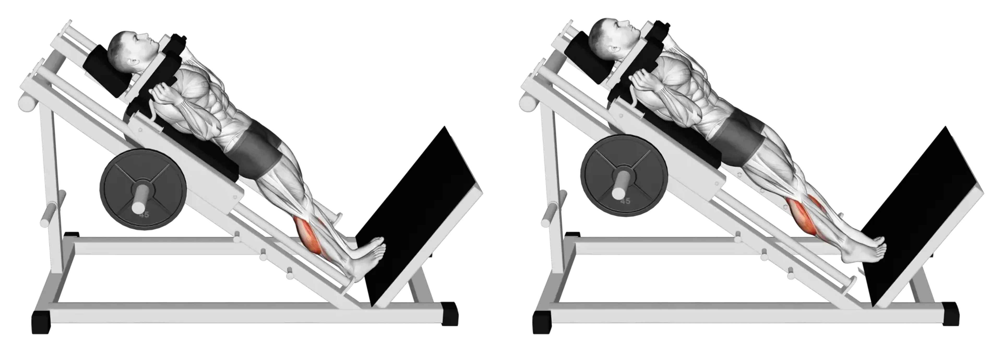 Hack Calf Raise