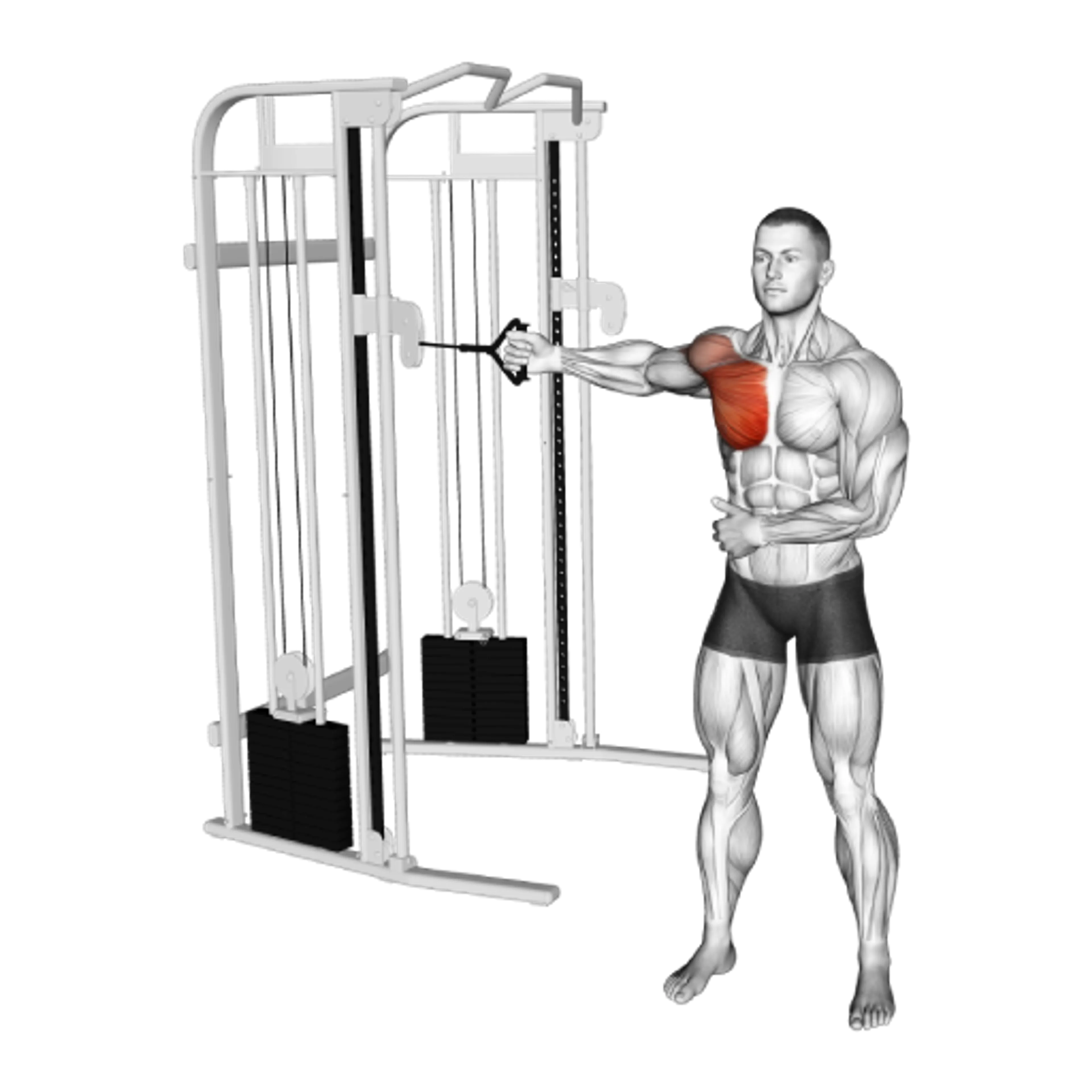 Cable Single-Arm Fly