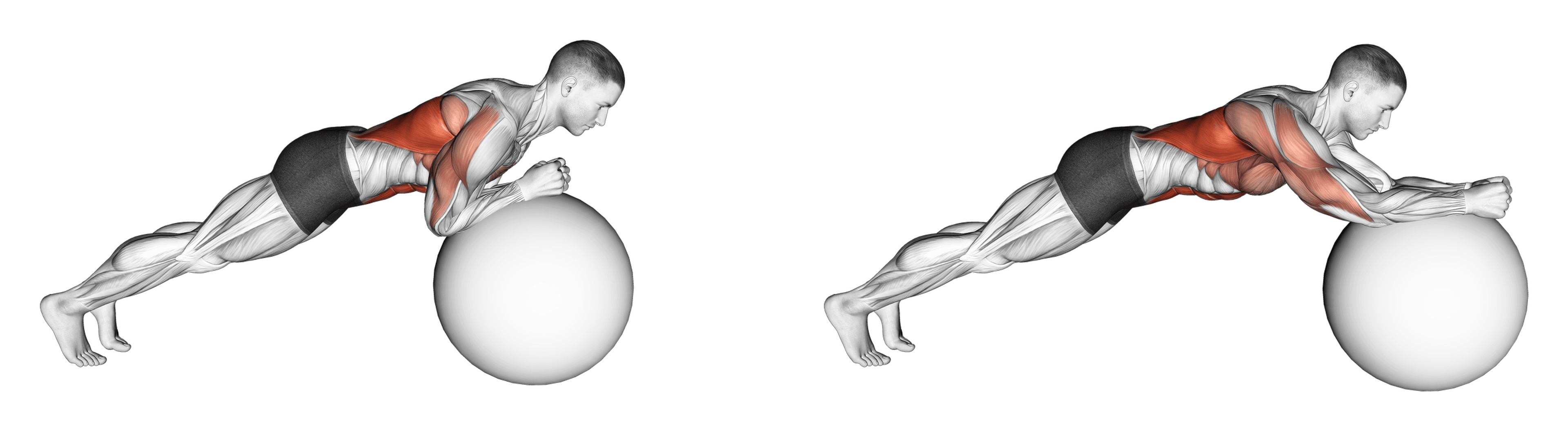 Exercise Ball Body Saw