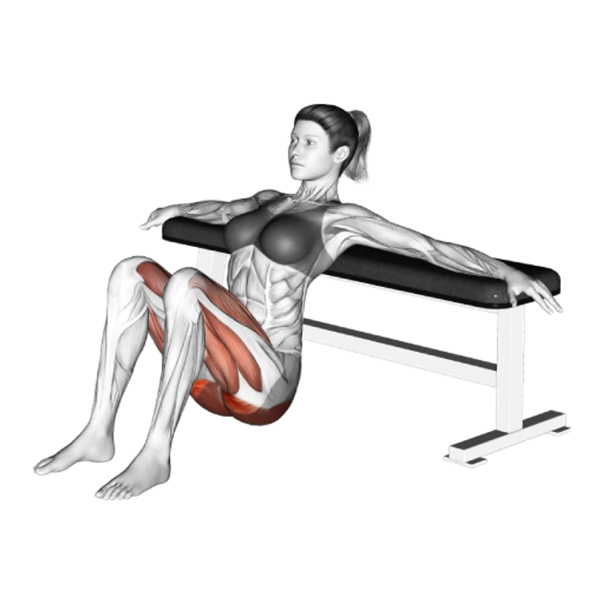 dumbbell-glute-bridge-guide-muscles-worked-tips-athlemove