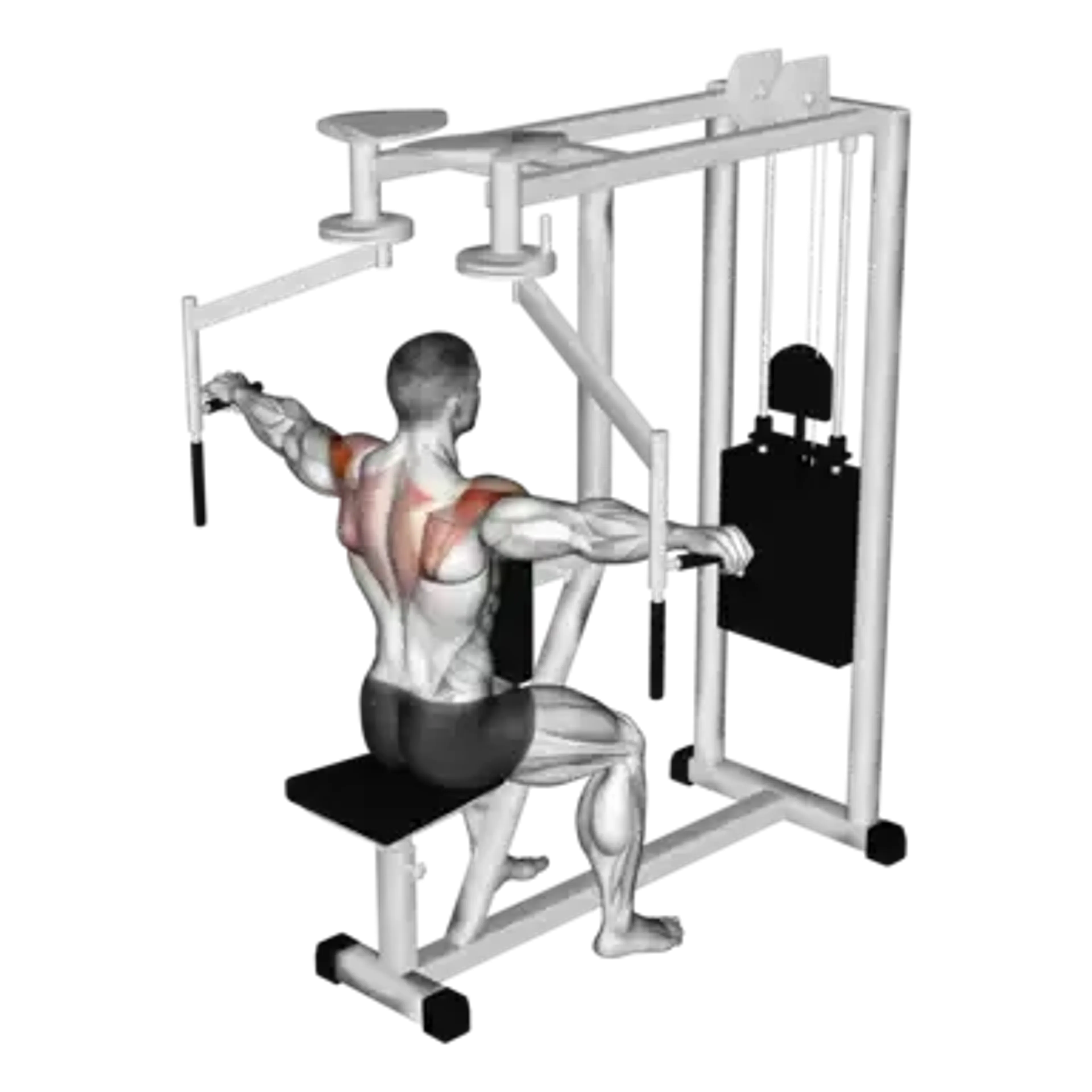 Machine Reverse Fly