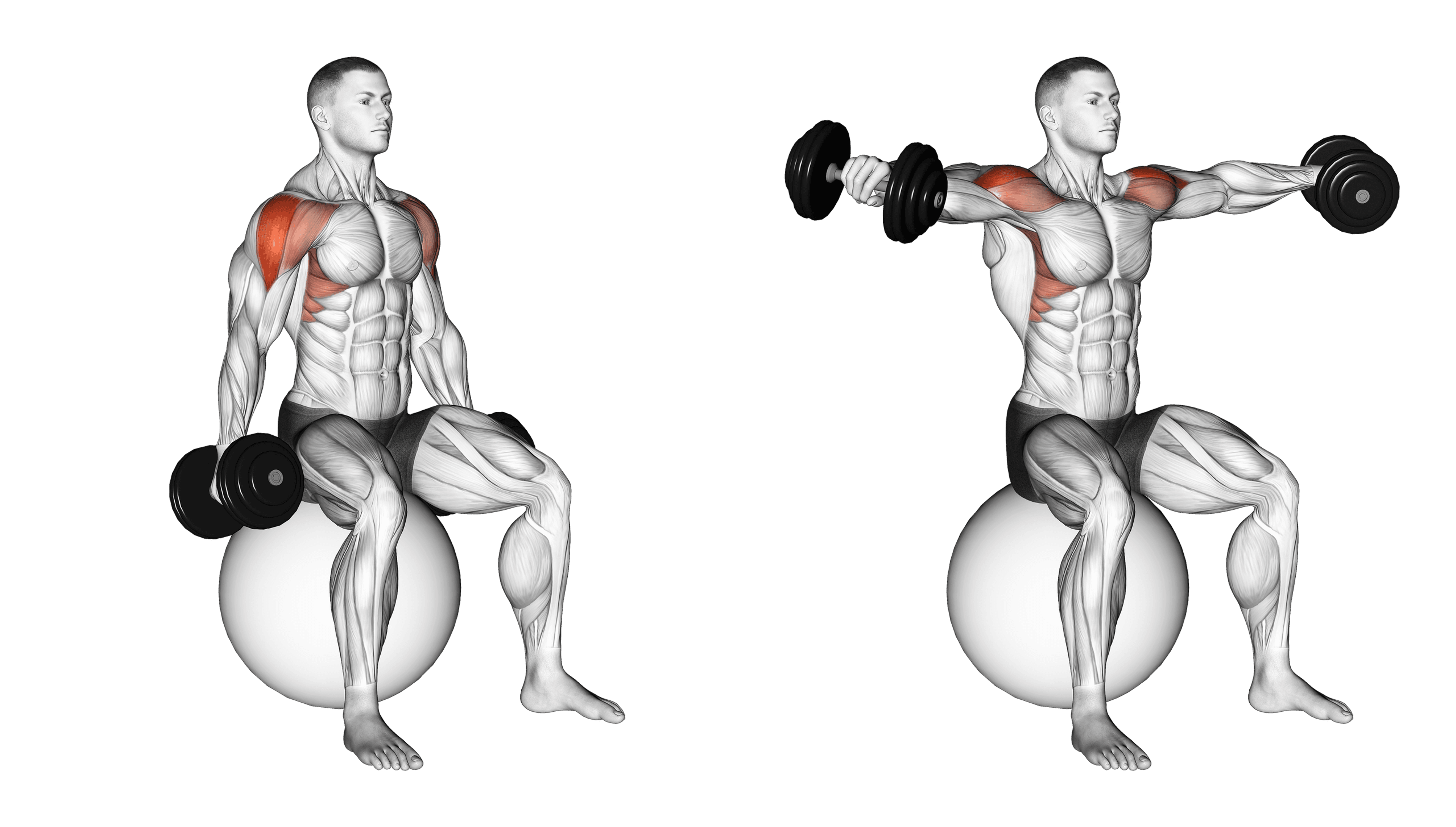 Dumbbell Exercise Ball Seated Lateral Raise