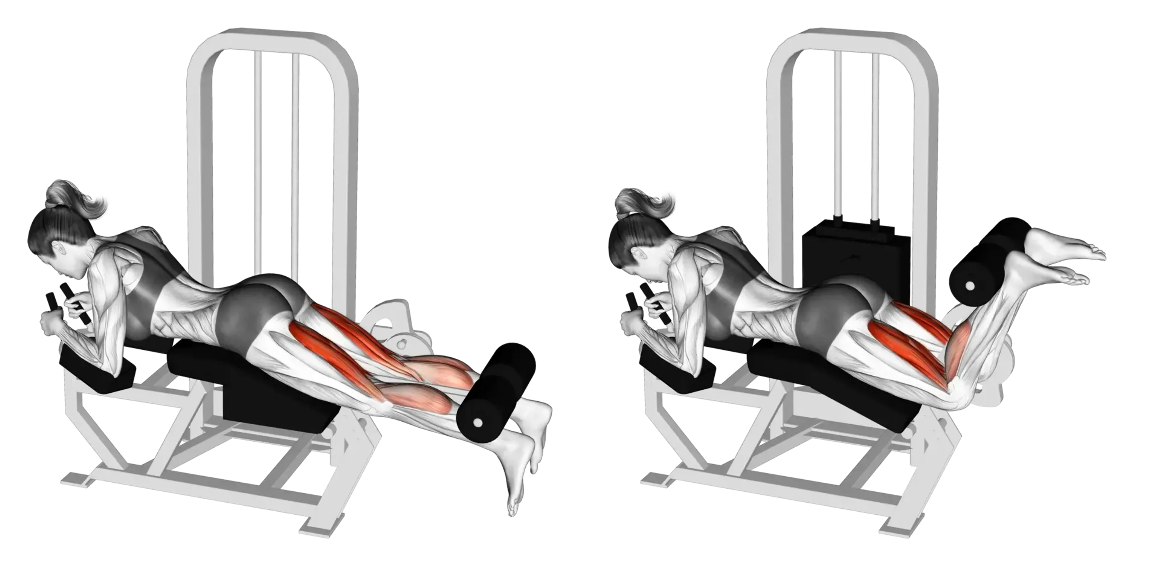 Machine Lying Leg Curl