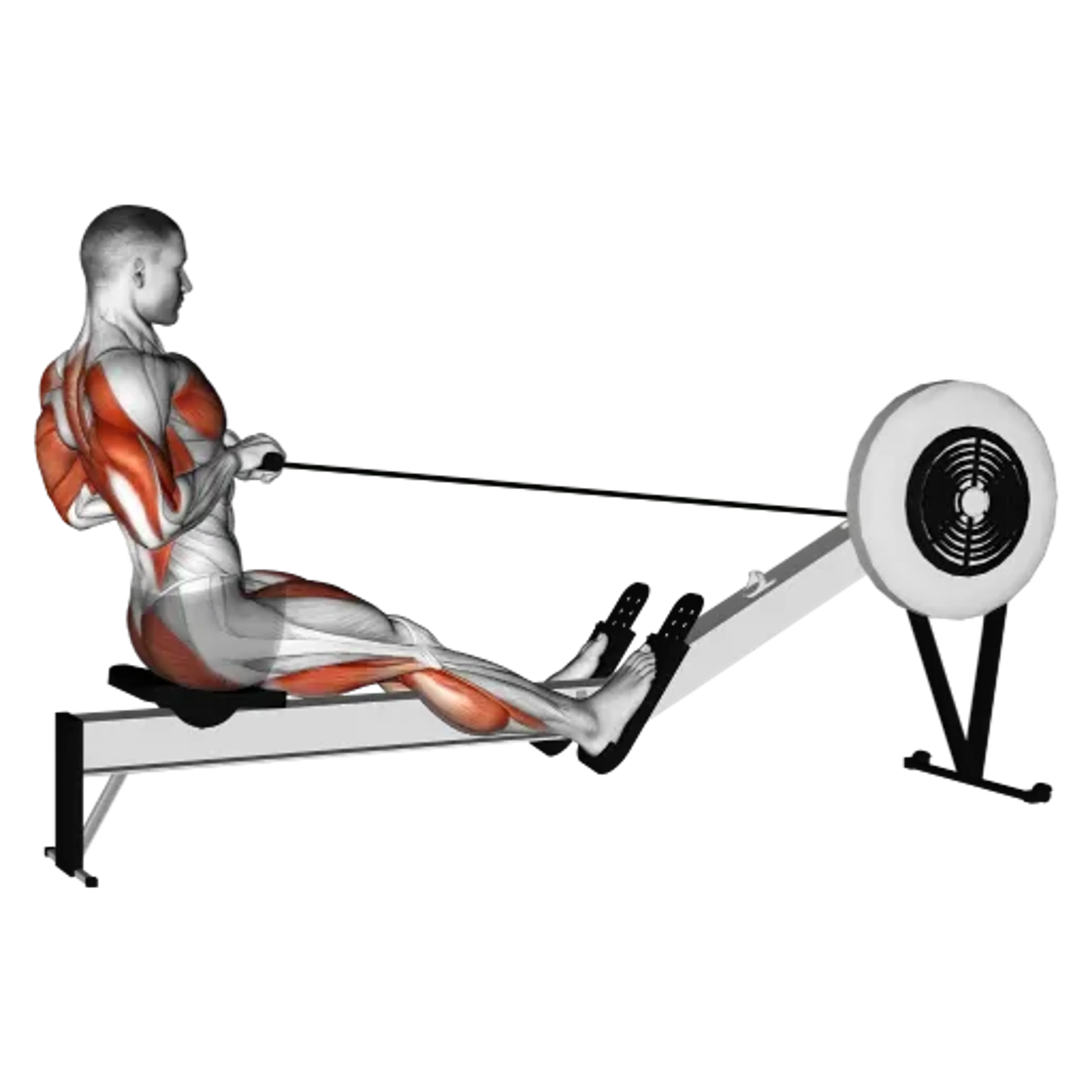 Rowing Machine