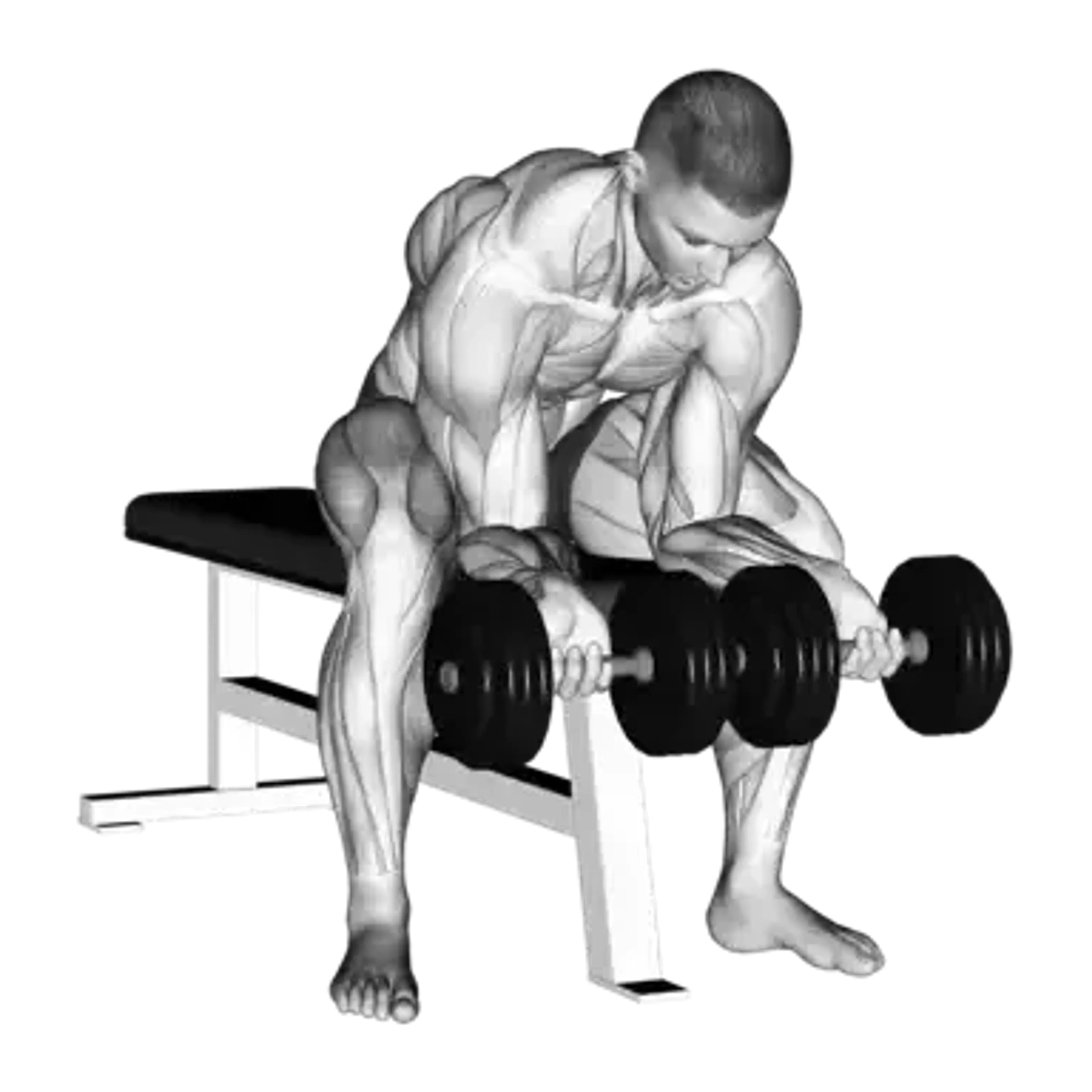 Dumbbell Finger Curls