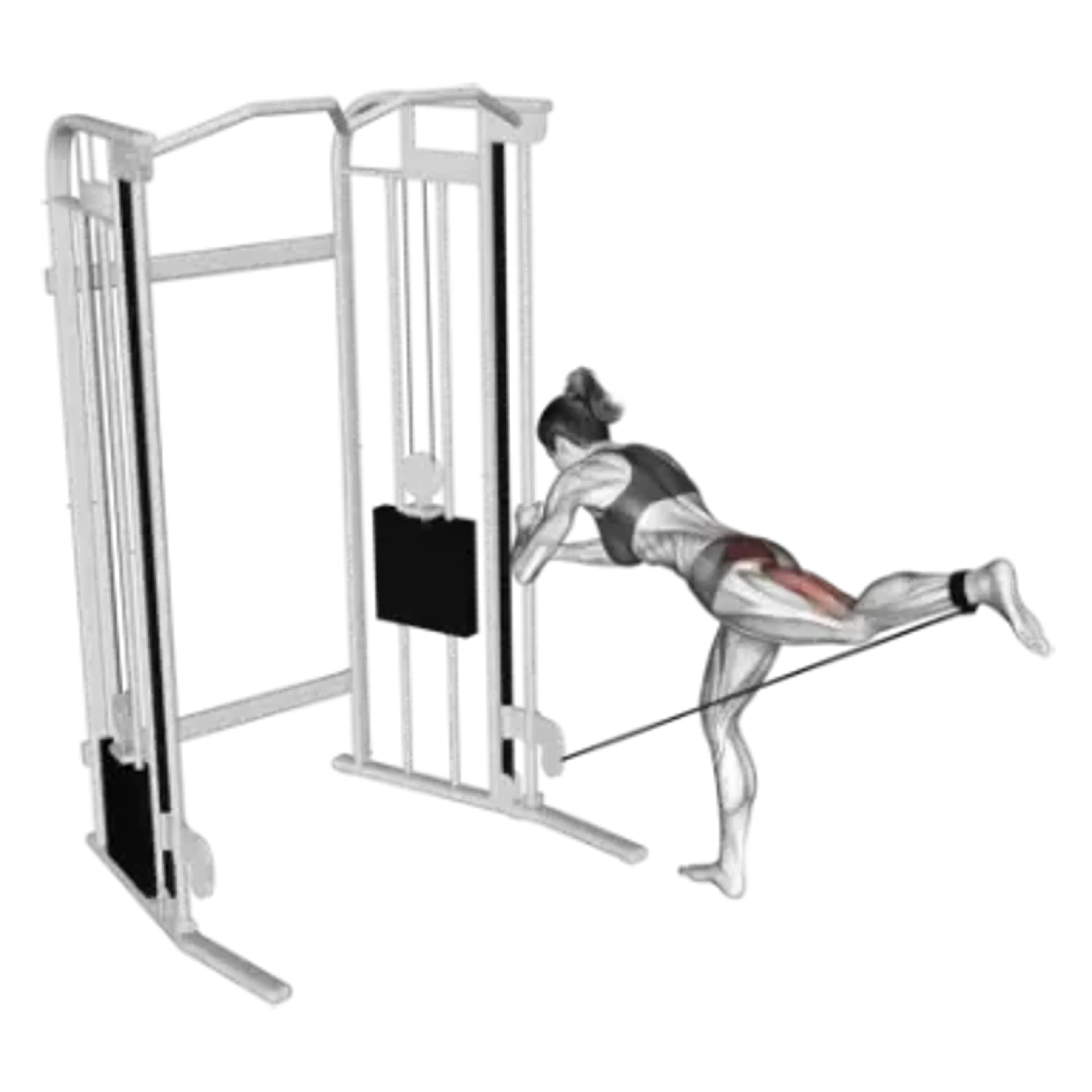 Cable Donkey Kickback