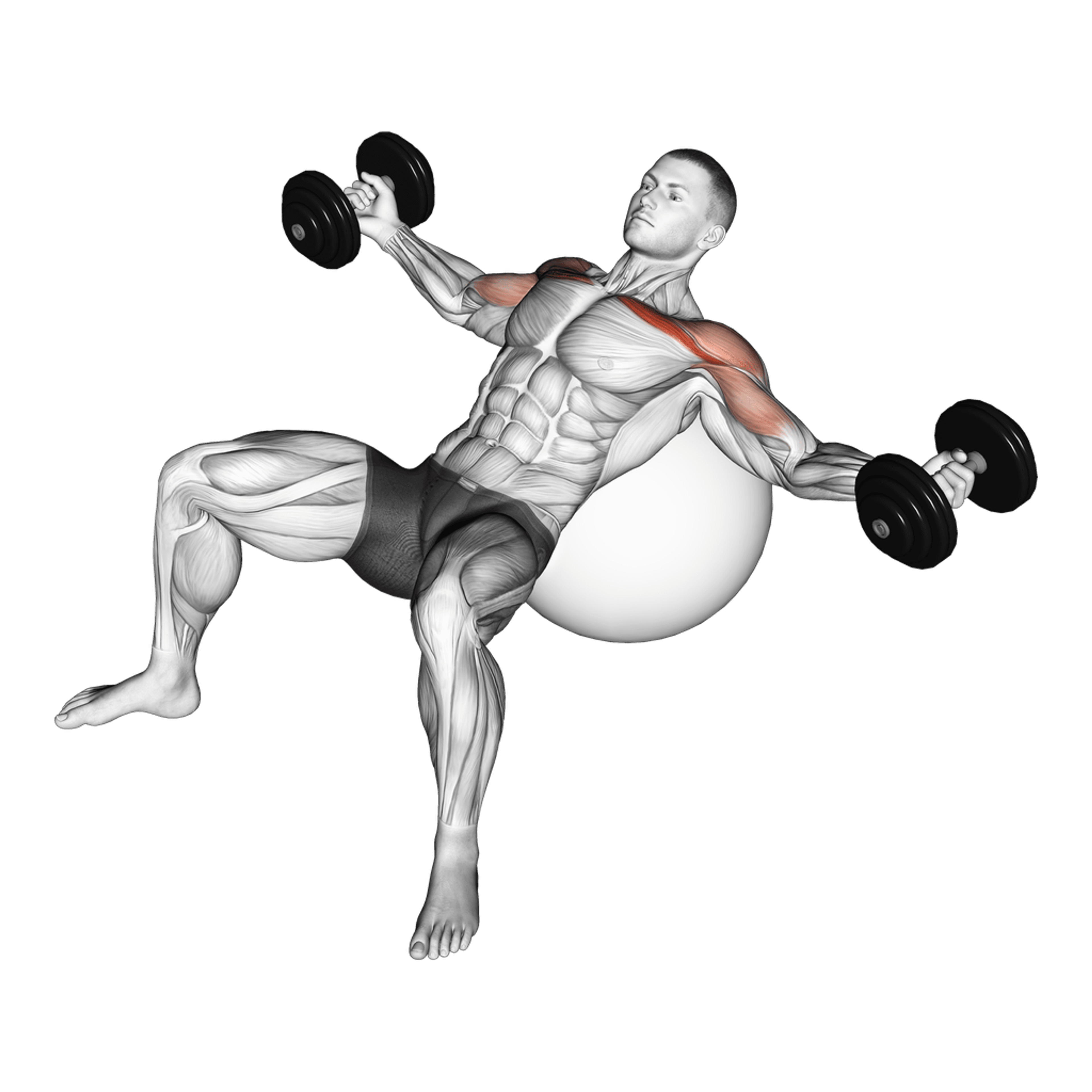 Dumbbell Exercise Ball Incline Fly