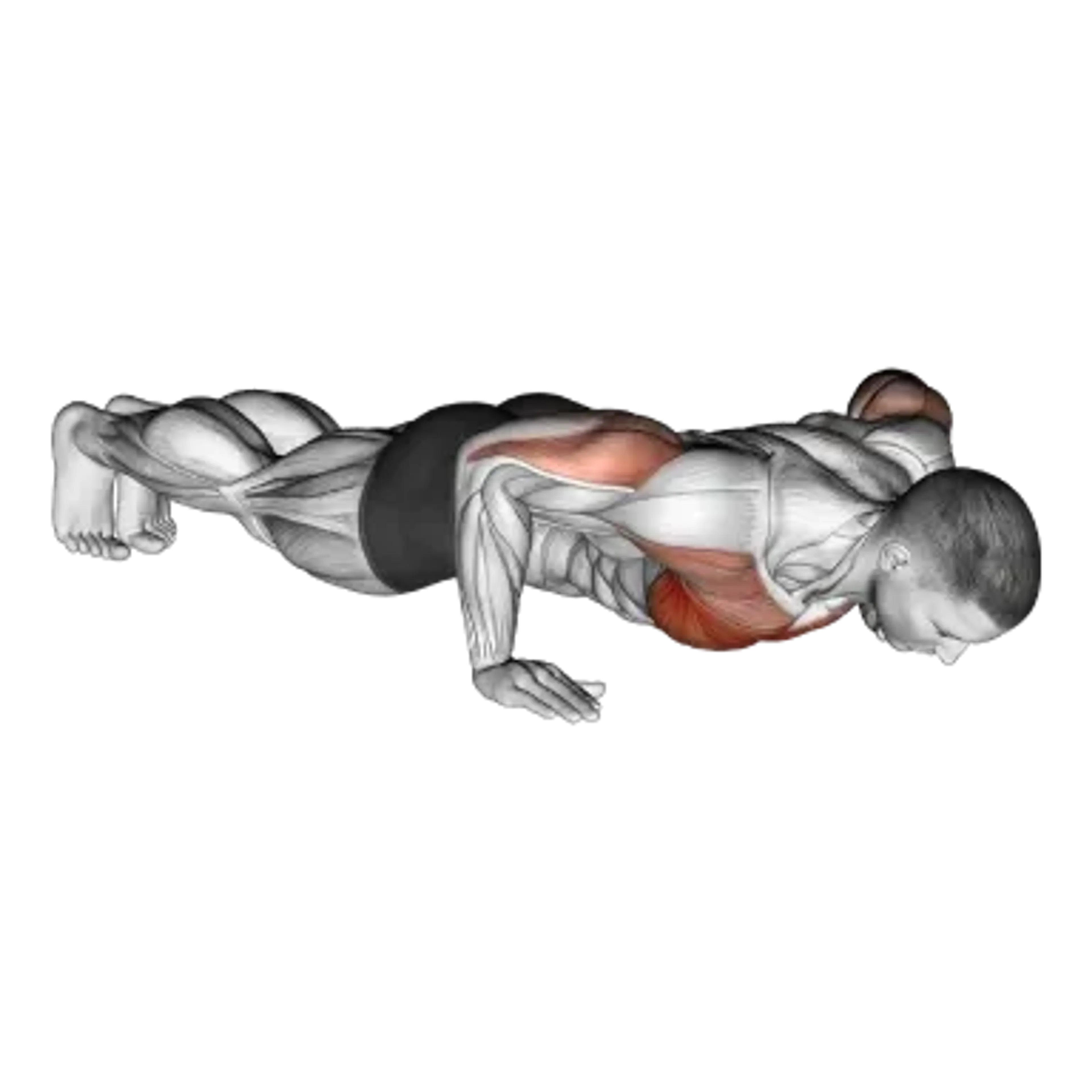 Push-Up