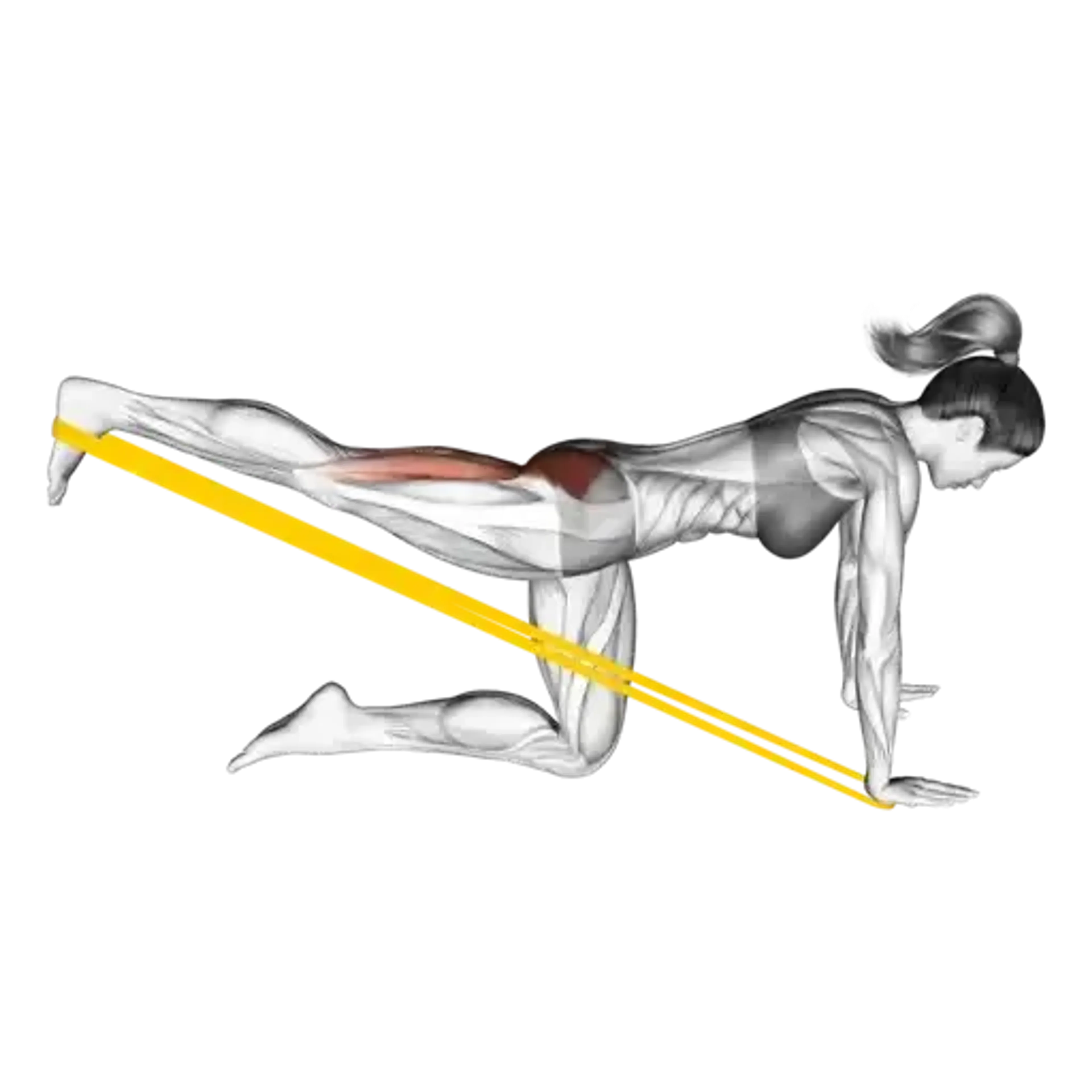 Band Kneeling Single-Leg Kickback