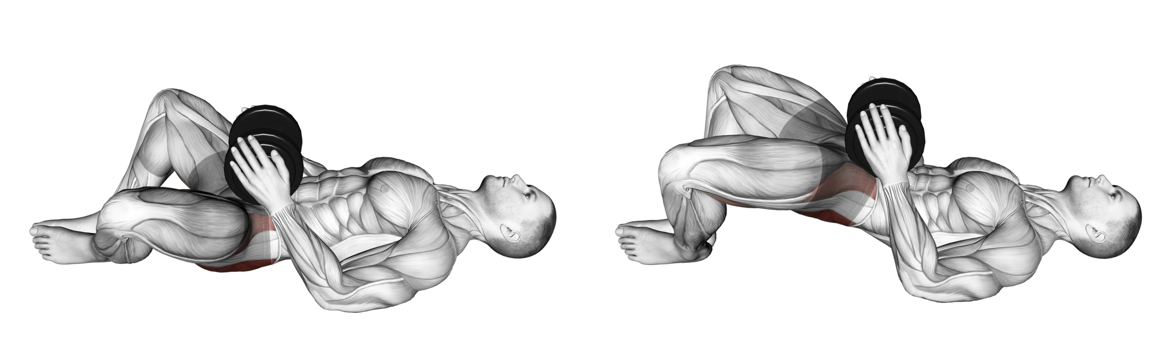 Dumbbell Frog Hip Thrust