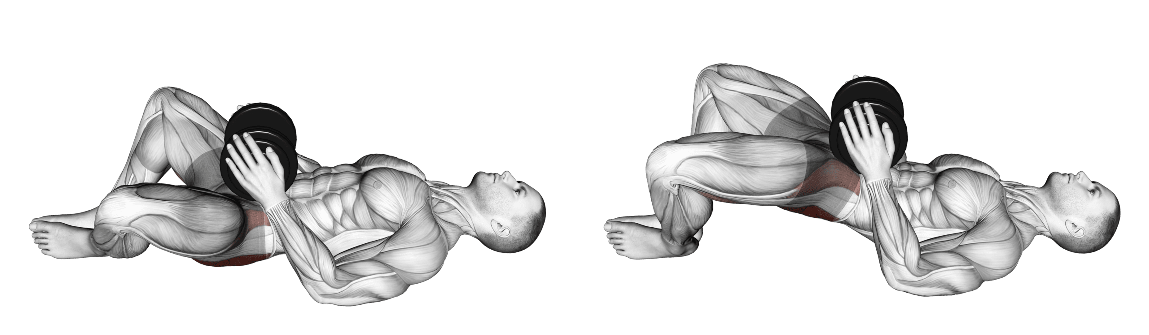 Dumbbell Frog Hip Thrust