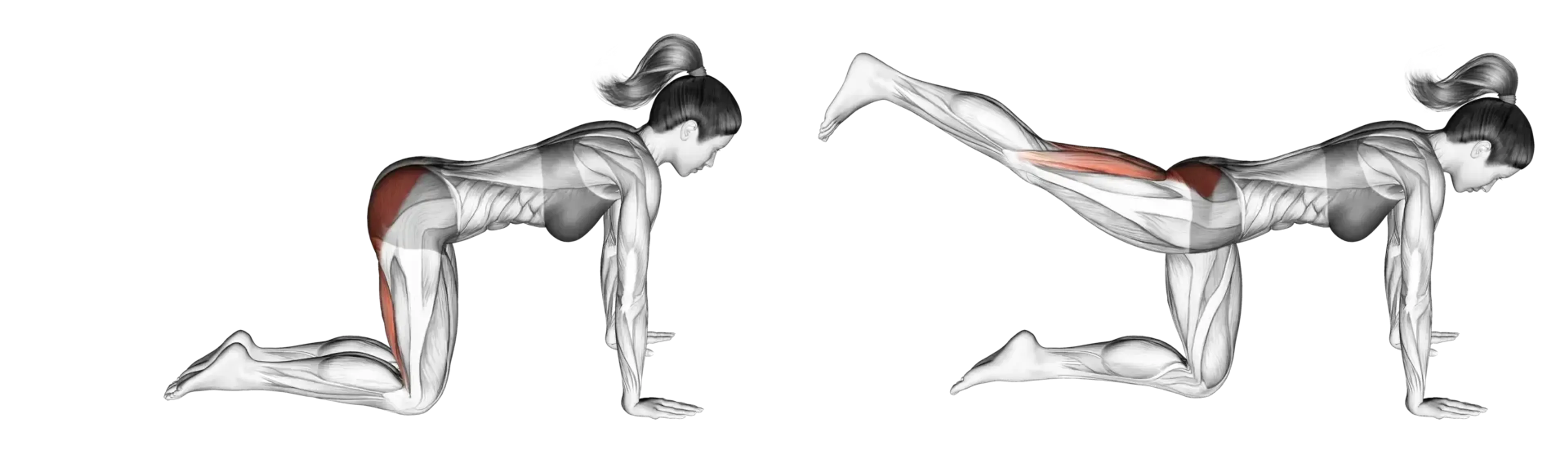 Straight Leg Kickback