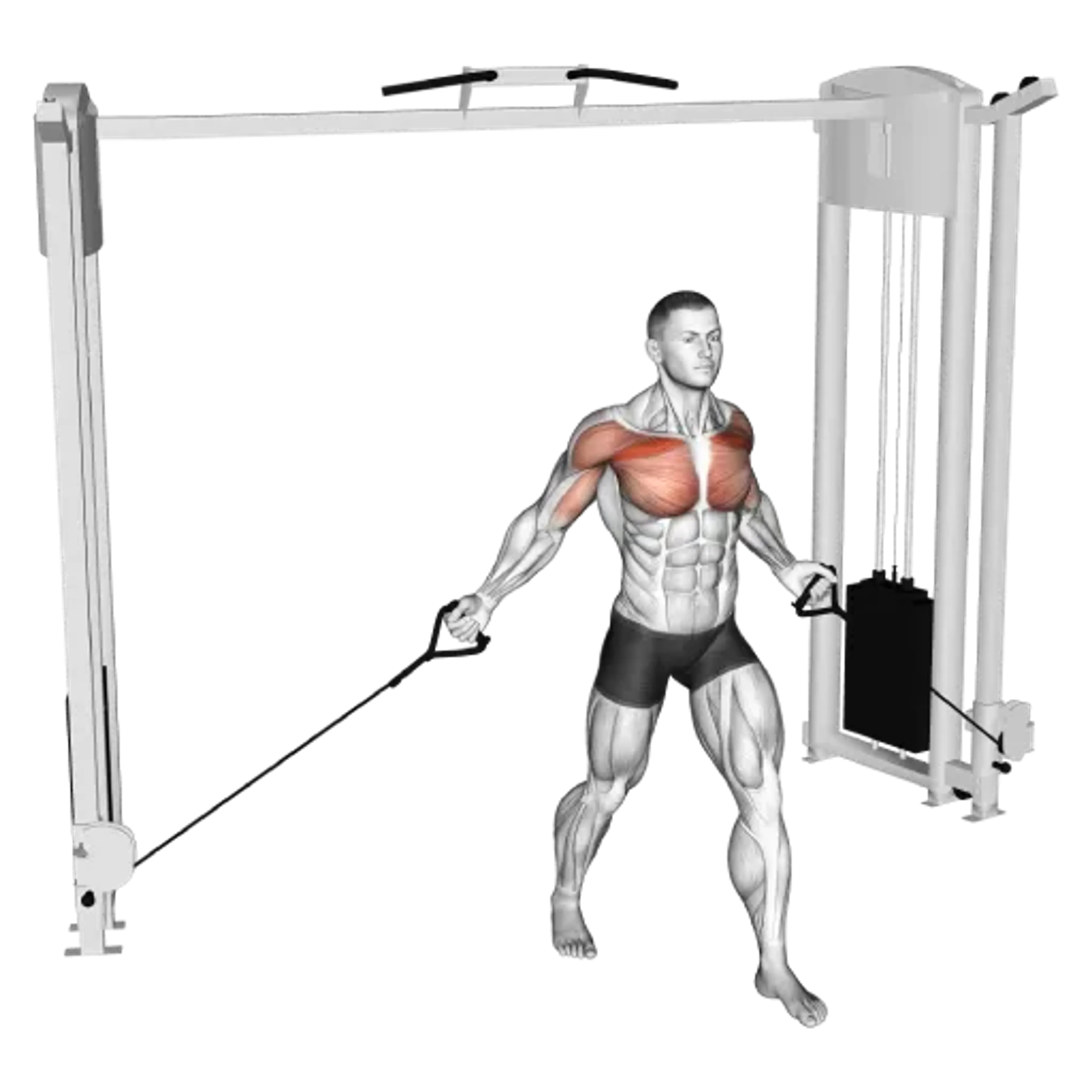 Low Cable Chest Fly