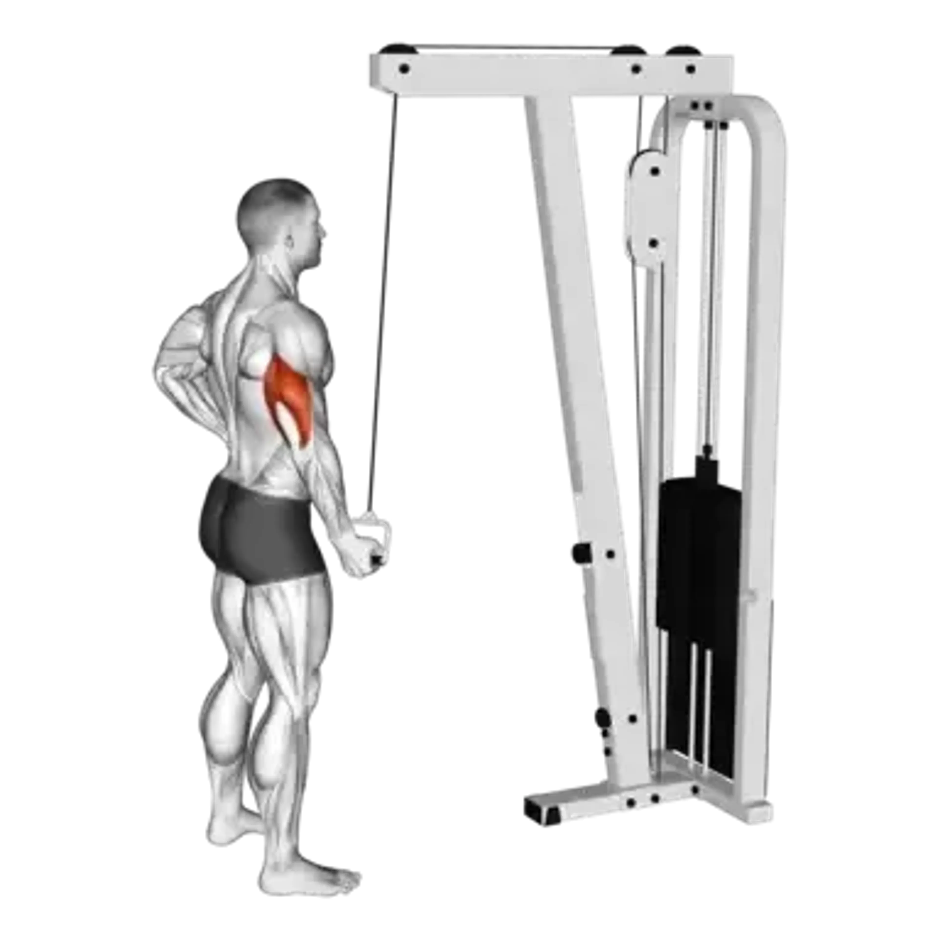 Cable Single-Arm Pushdown